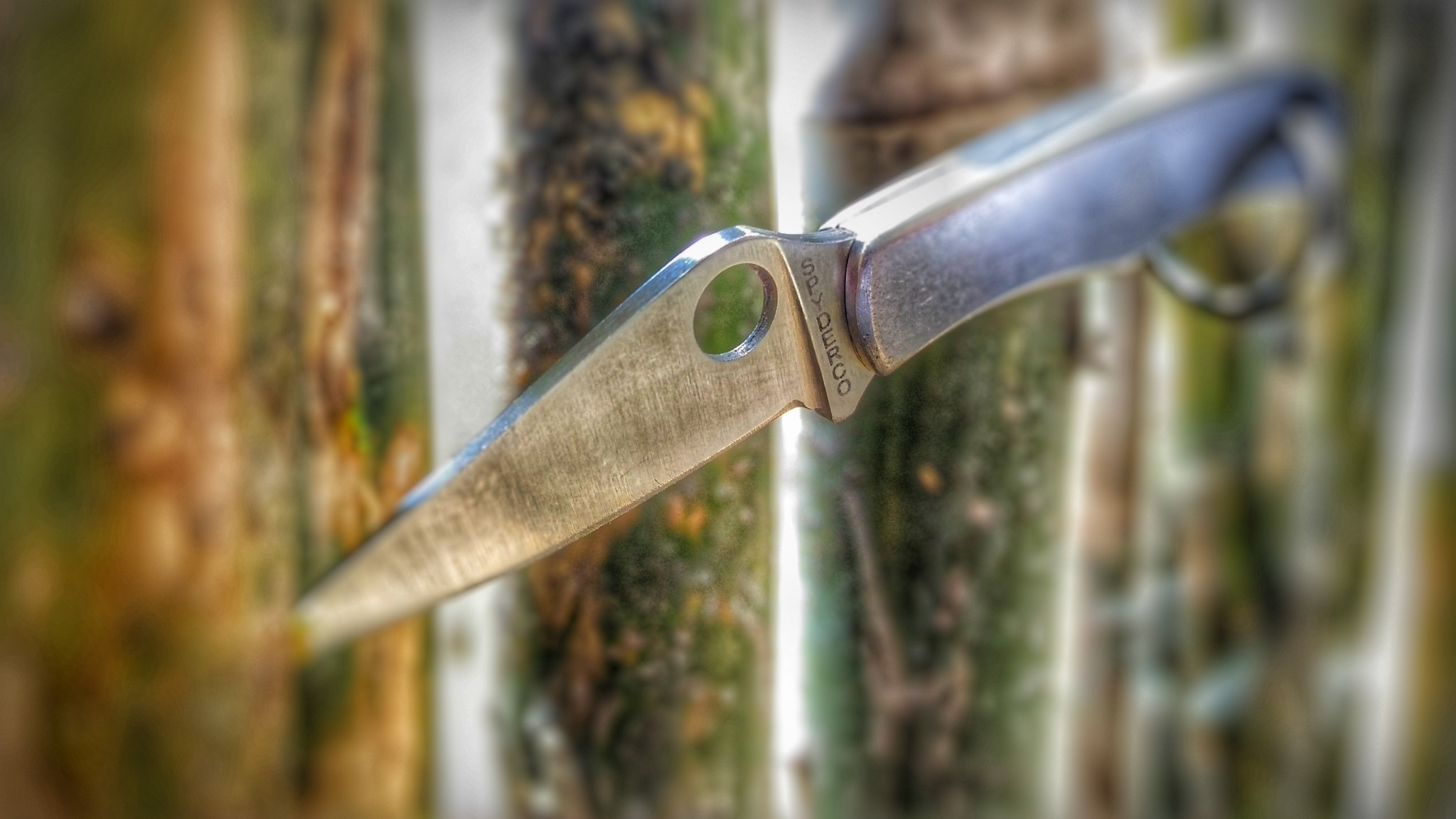 ASUS ZenFone Max (ZC550KL) sample photo. Spyderco bug photography