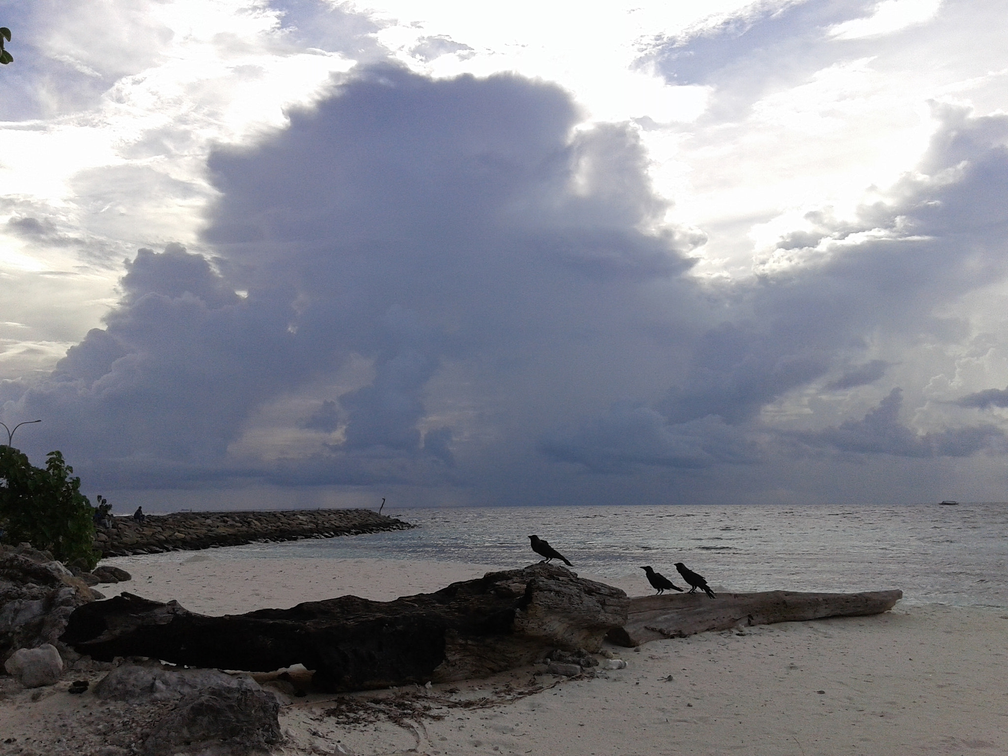Samsung Galaxy Core sample photo. 20140918_163025.jpg photography