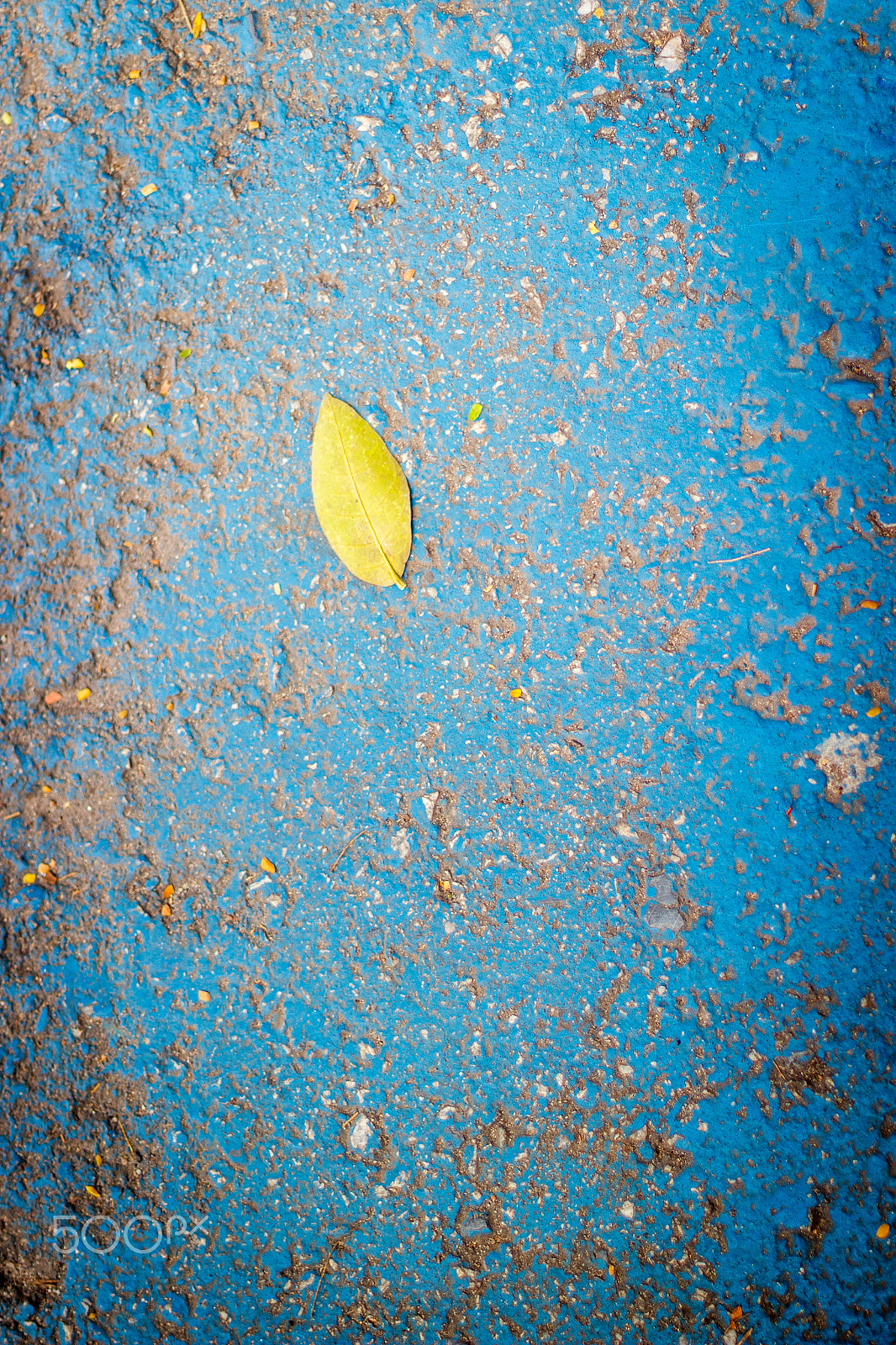Canon EF 50mm F1.4 USM sample photo. Look and see photography