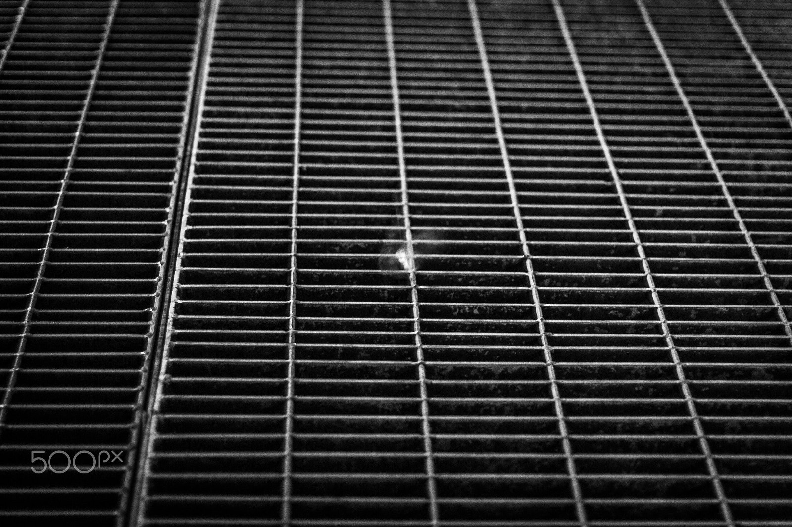 Canon EF 50mm F1.4 USM sample photo. Look and see photography
