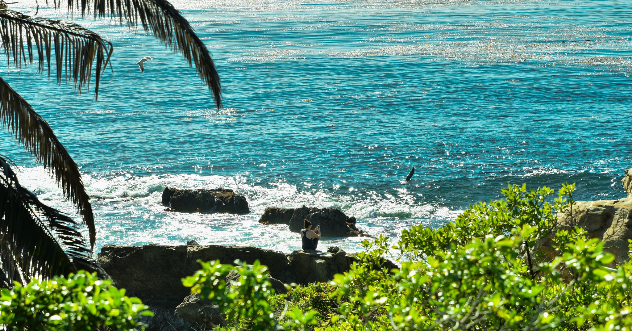Tamron SP 24-70mm F2.8 Di VC USD sample photo. Laguna diaries 2 - "life is bliss" photography