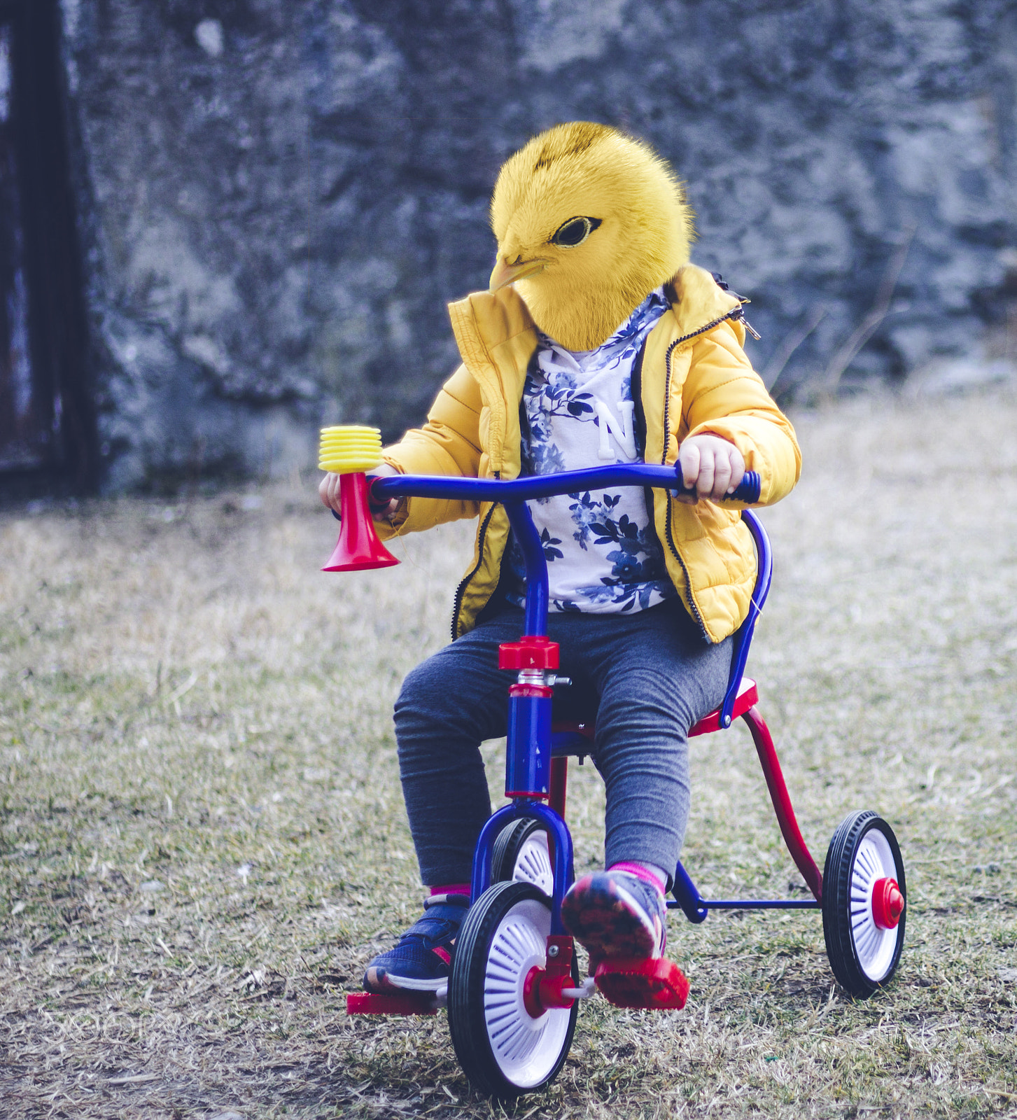 Canon EOS 1100D (EOS Rebel T3 / EOS Kiss X50) sample photo. Bike riding baby chick. photography
