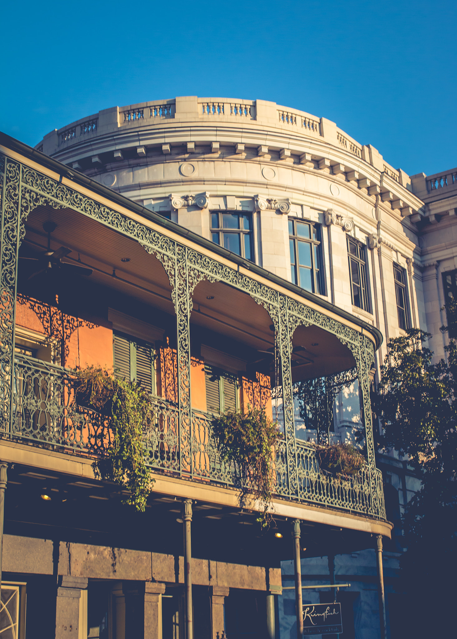 Canon EOS 70D + Canon EF 35mm F2 IS USM sample photo. Nola photography