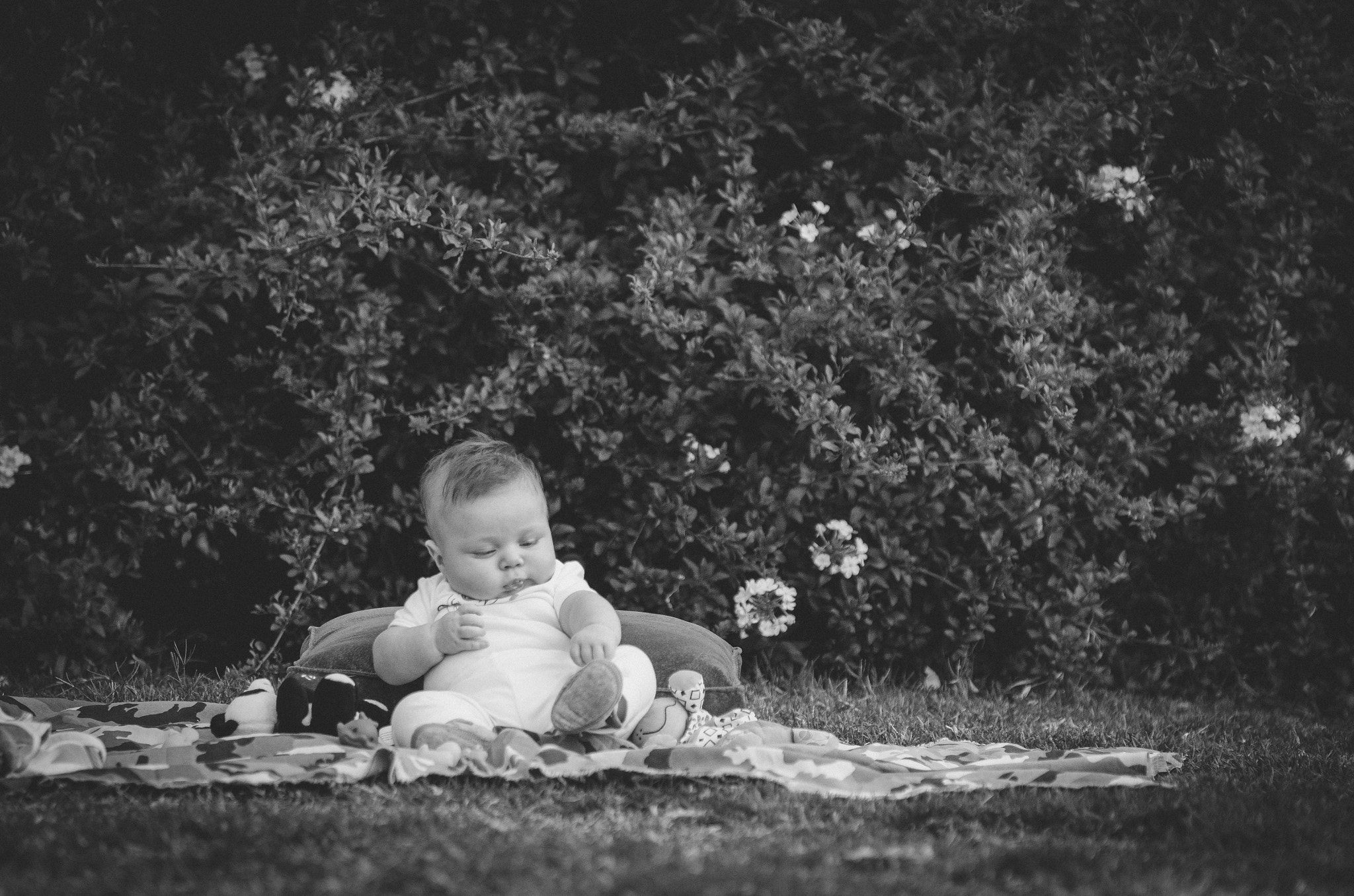 Sigma 70-200mm F2.8 EX DG OS HSM sample photo. My son, my life photography