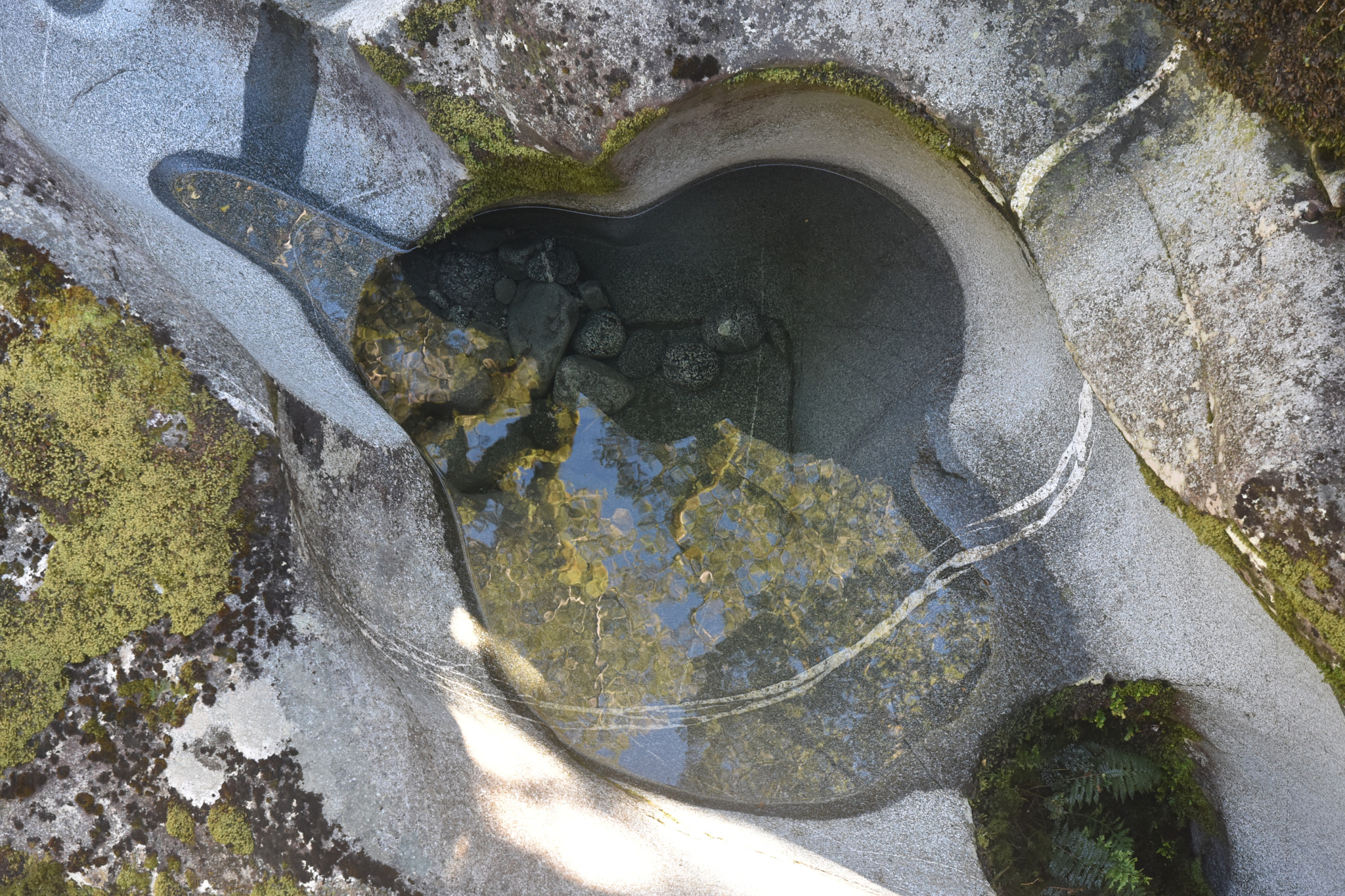Nikon D7200 sample photo. Pothole abstract photography