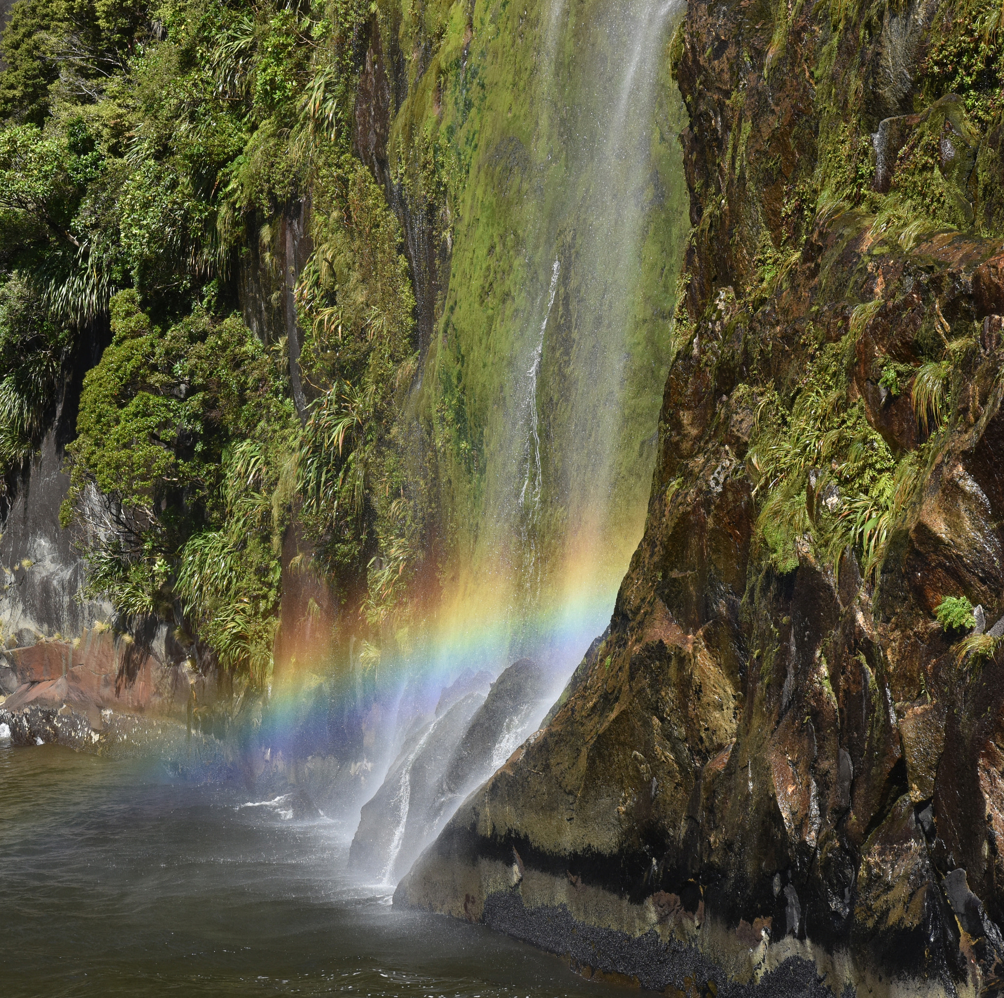 Nikon D7200 + Nikon AF-S DX Nikkor 16-80mm F2.8-4E ED VR sample photo. Milford sound waterfall with rainbow photography