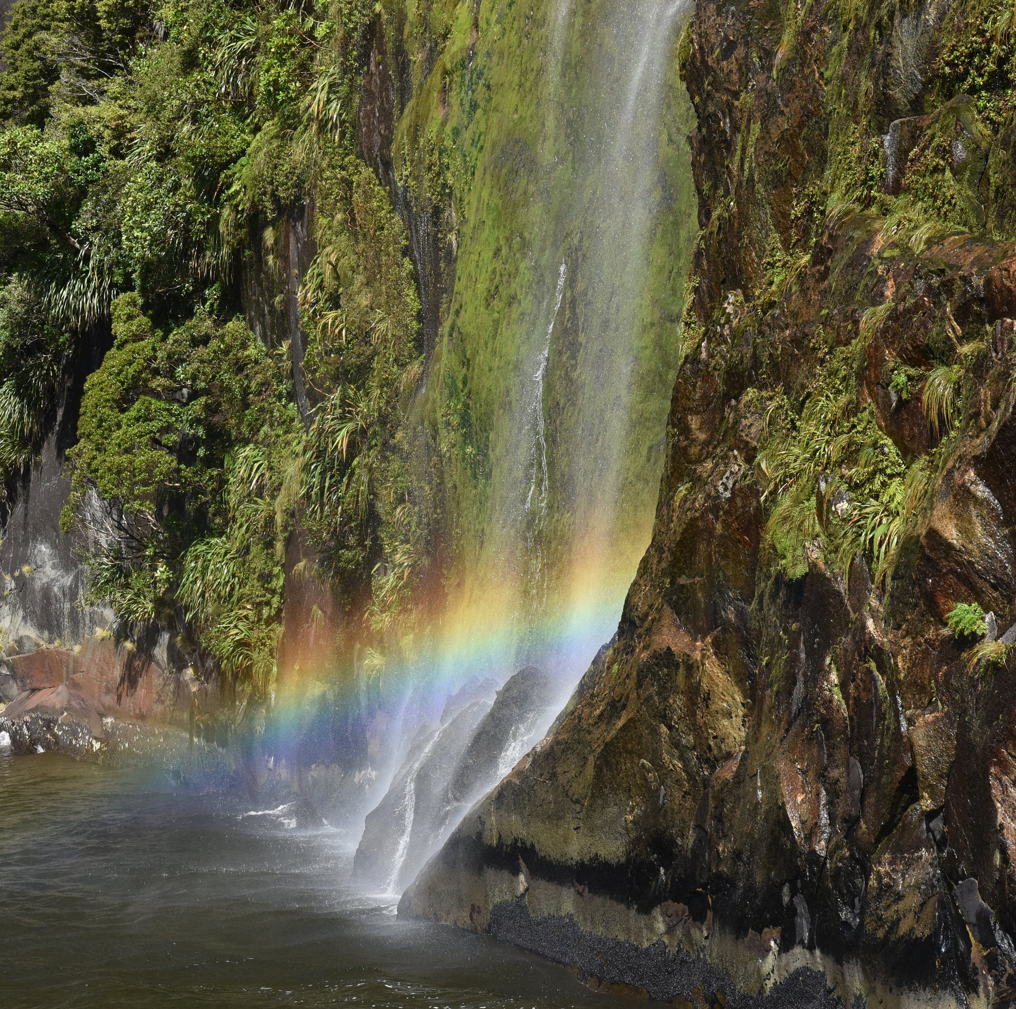 Nikon D7200 sample photo. Milford sound waterfall with rainbow photography