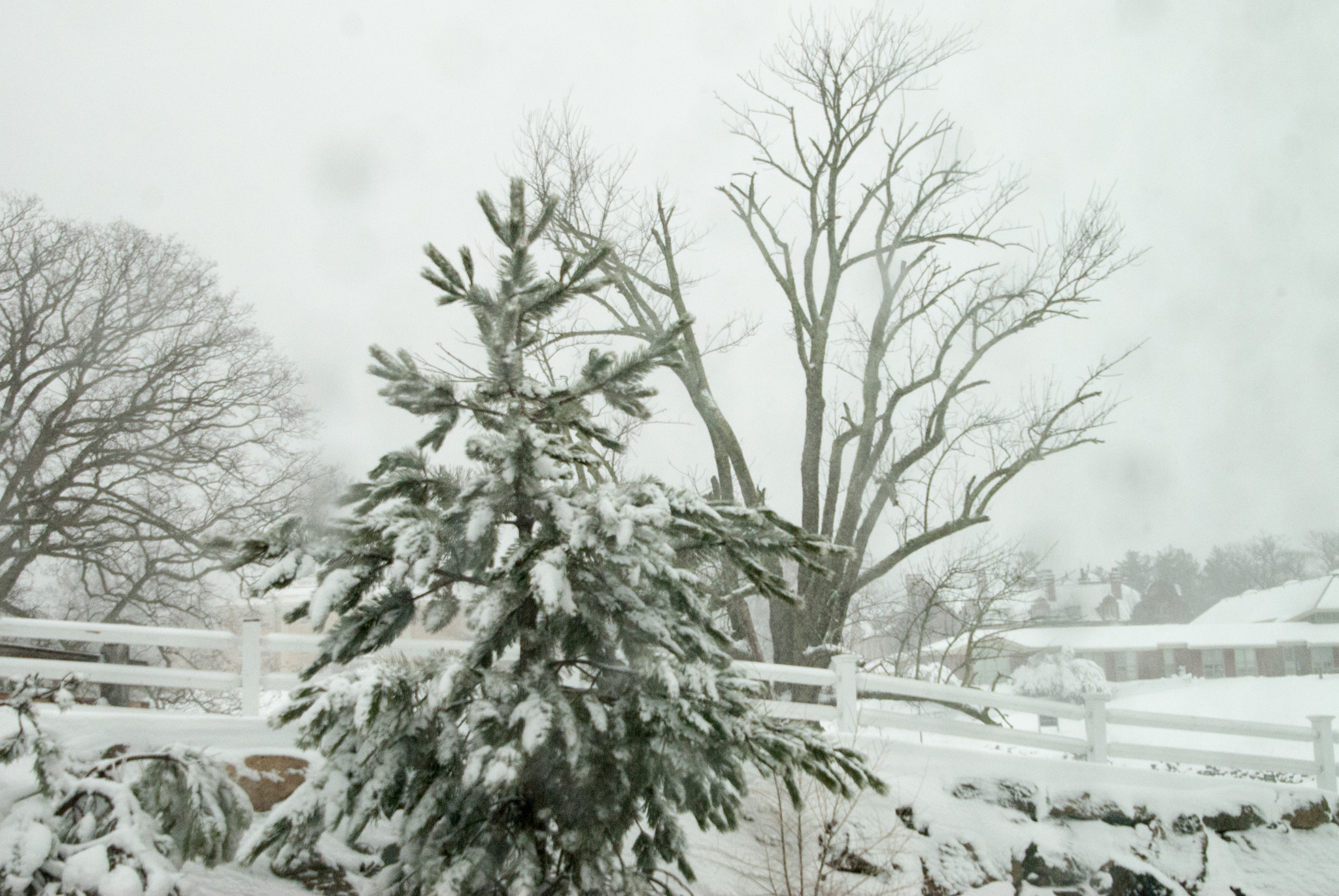 Nikon D200 sample photo. Winter 17- 3/14/17 photography