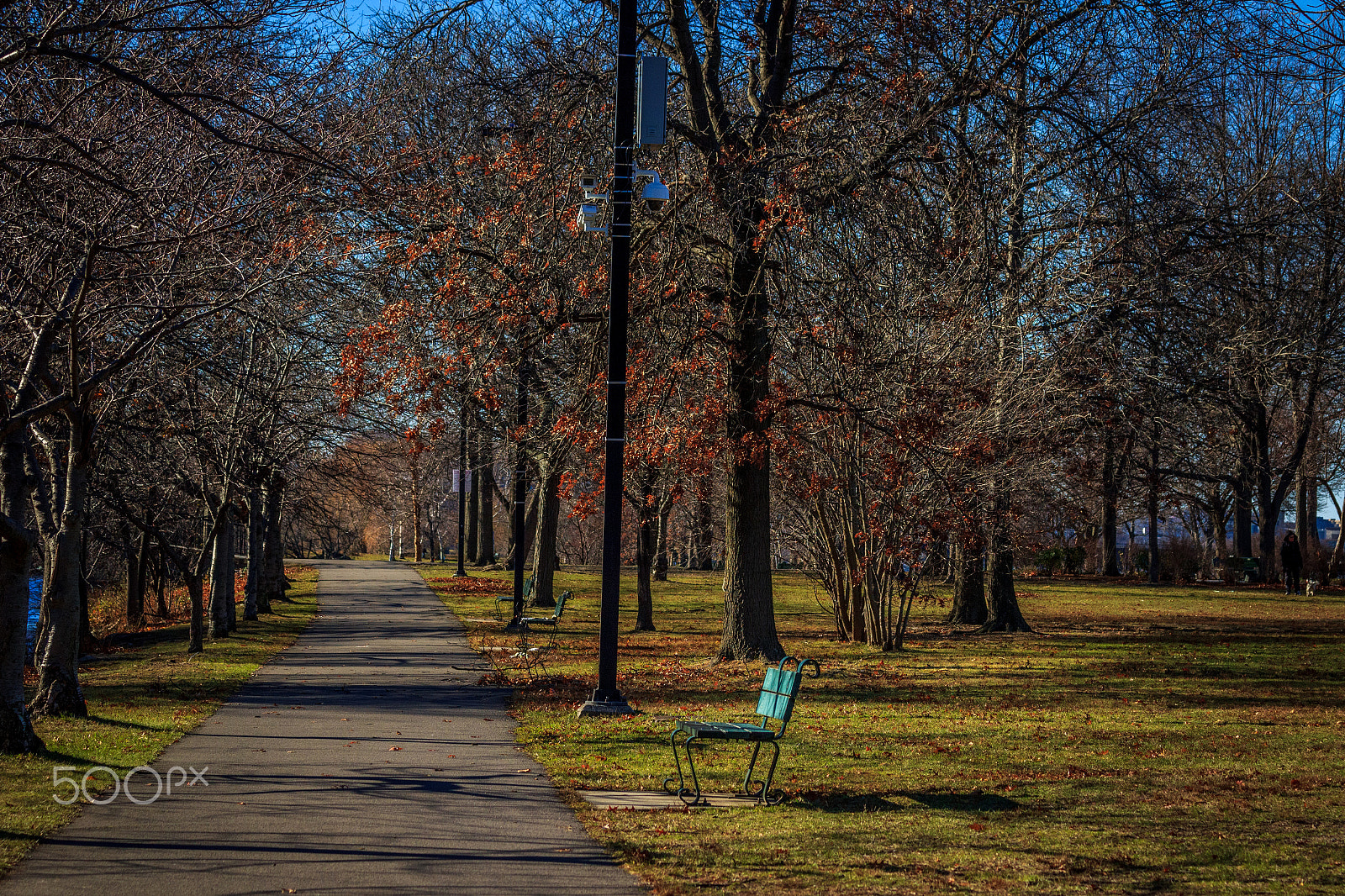 Canon EF 70-300mm F4-5.6 IS USM sample photo. Boston photography