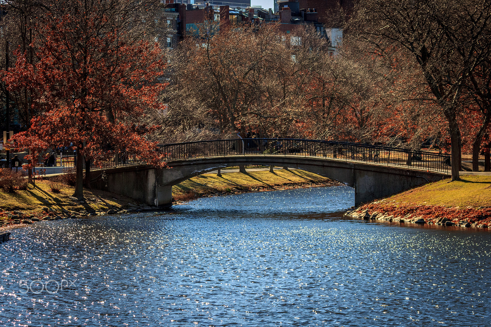 Canon EF 70-300mm F4-5.6 IS USM sample photo. Boston photography
