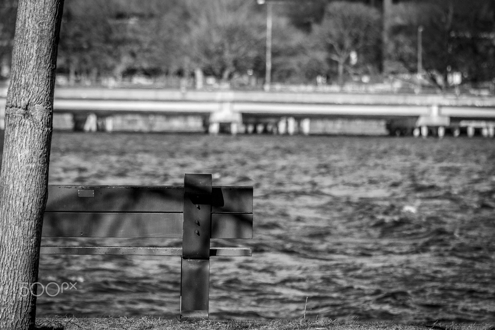Canon EF 70-300mm F4-5.6 IS USM sample photo. Boston photography