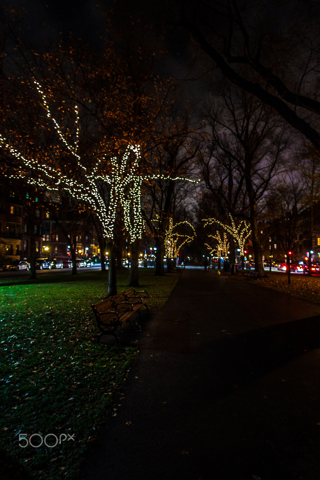 Canon EOS 600D (Rebel EOS T3i / EOS Kiss X5) + Canon EF 15mm F2.8 Fisheye sample photo. Boston photography