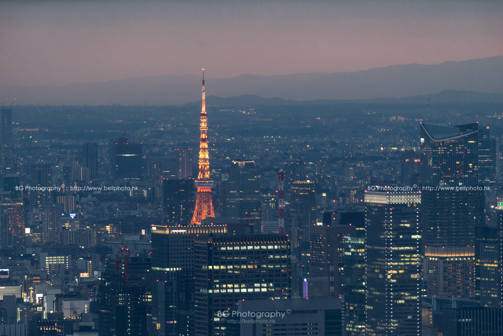 Canon EF-S 10-22mm F3.5-4.5 USM sample photo. Tokyo cityscape. photography