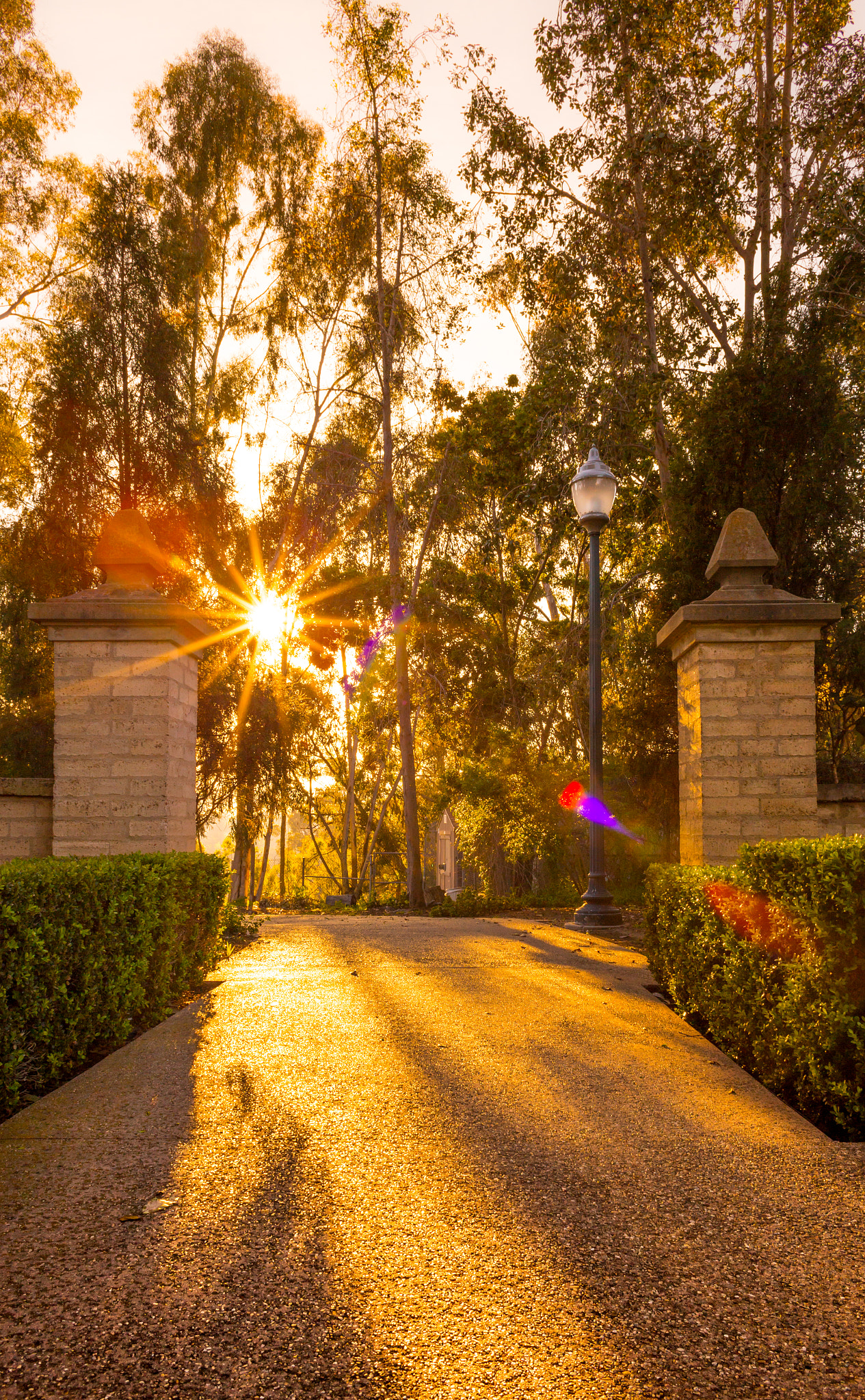 Canon EF 28mm F1.8 USM sample photo. Garden entry photography