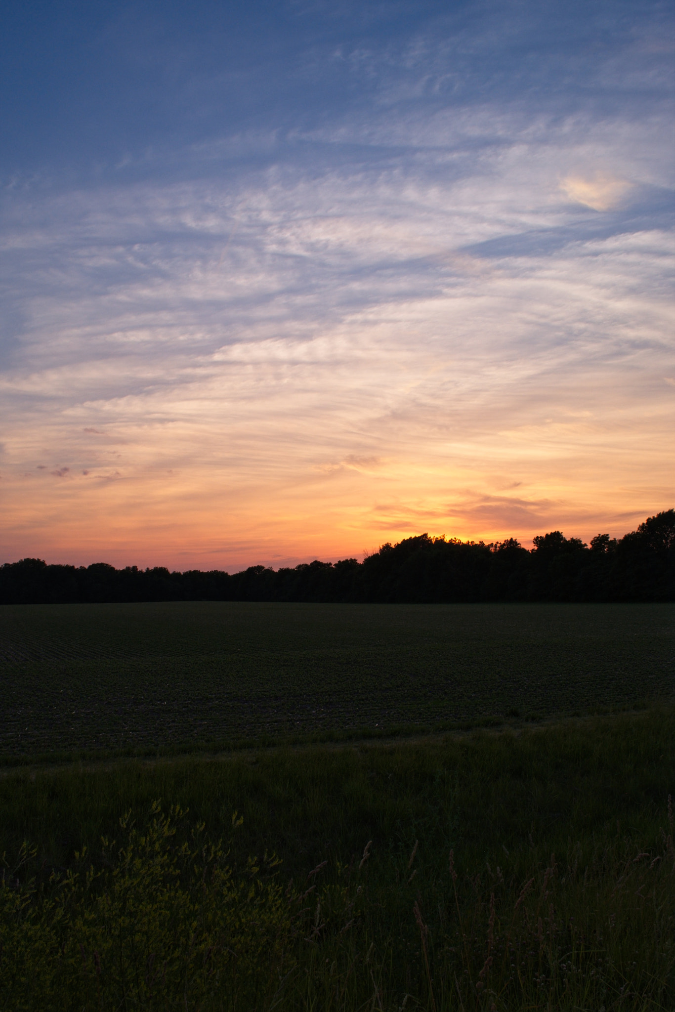 18.0-55.0mm f/3.5-f/5.6 sample photo. Early summer sunset photography