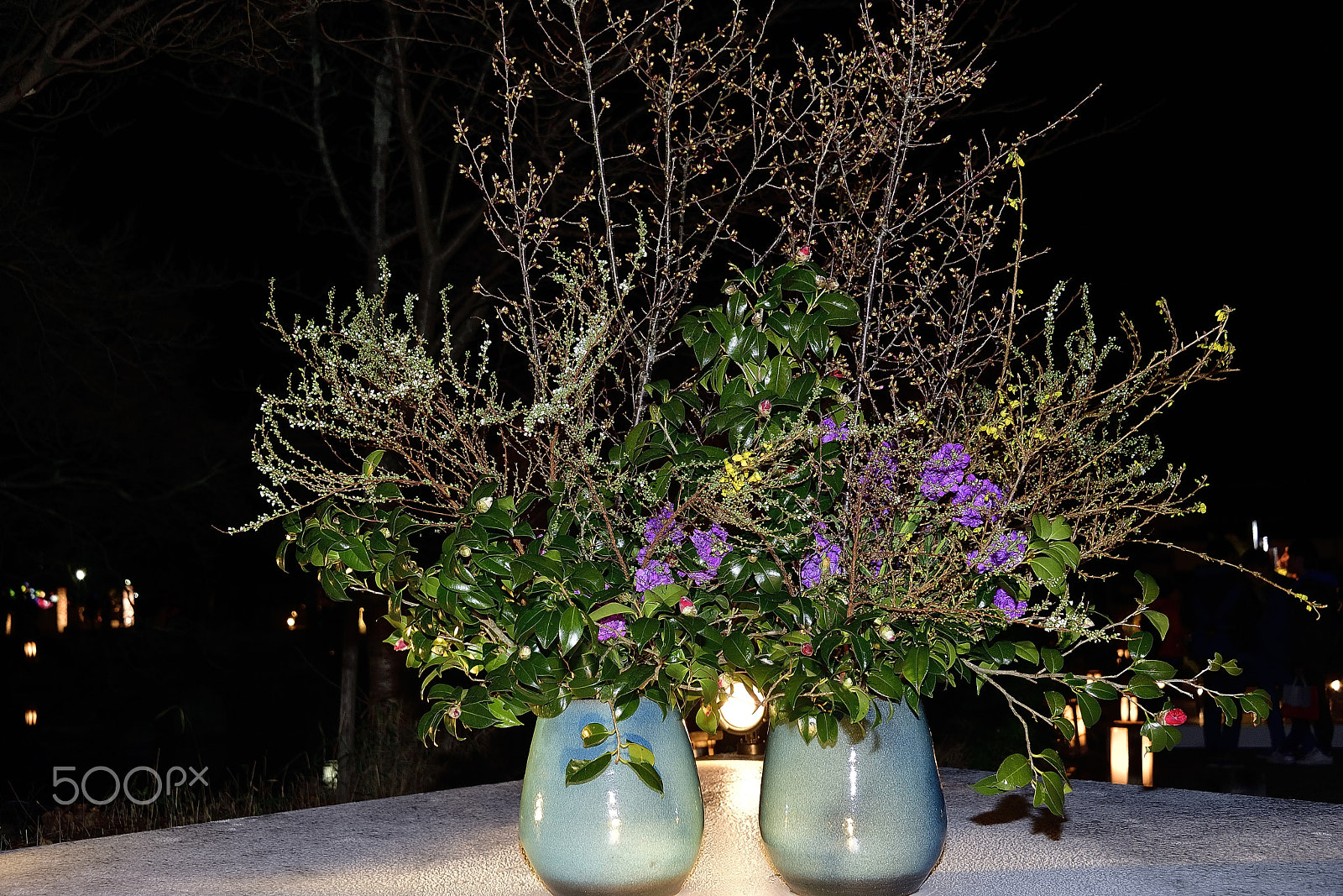 Nikon D800E sample photo. Flower arrangement～京都花灯路～ photography