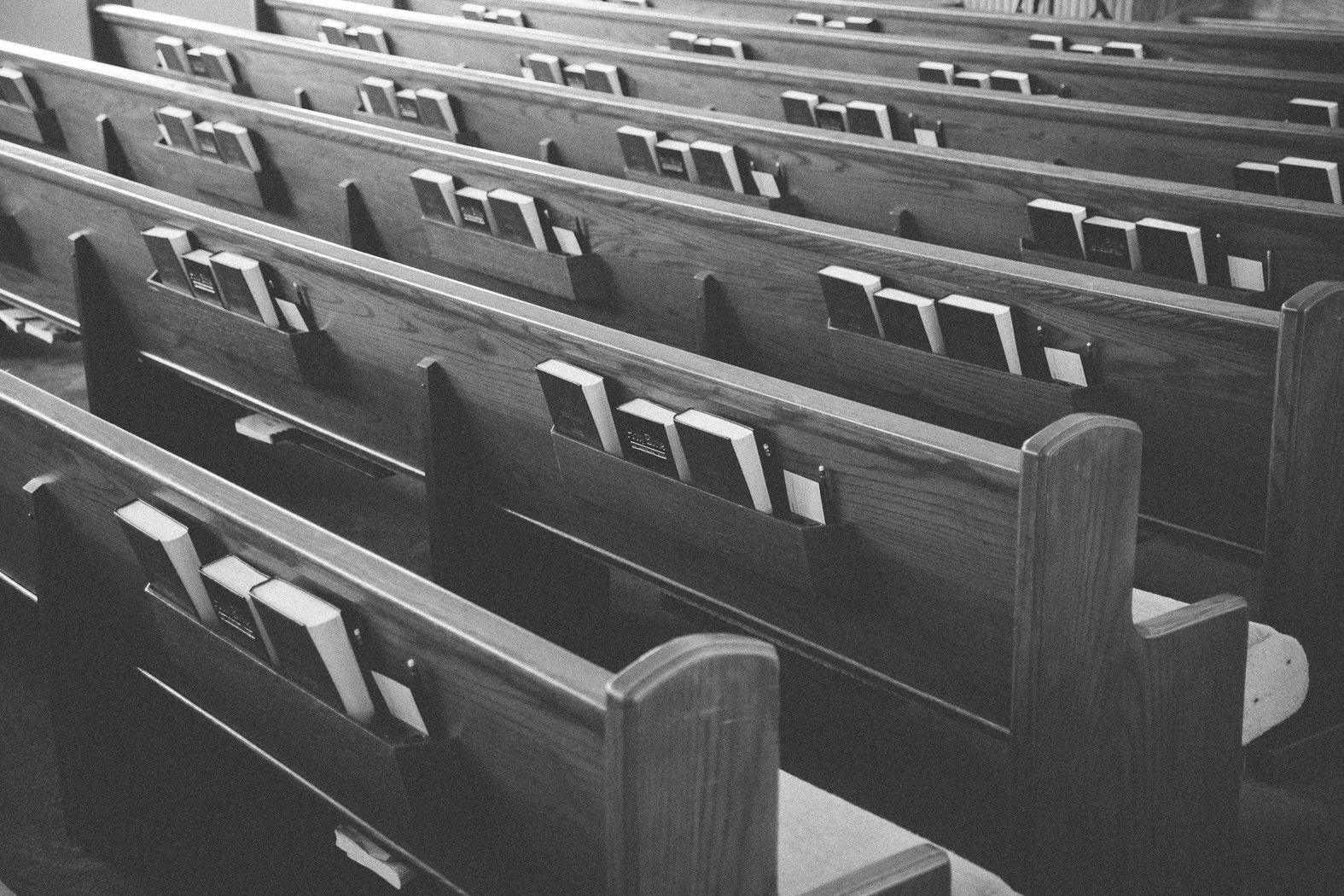 Minolta AF 24-85mm F3.5-4.5 [New] sample photo. Pews photography