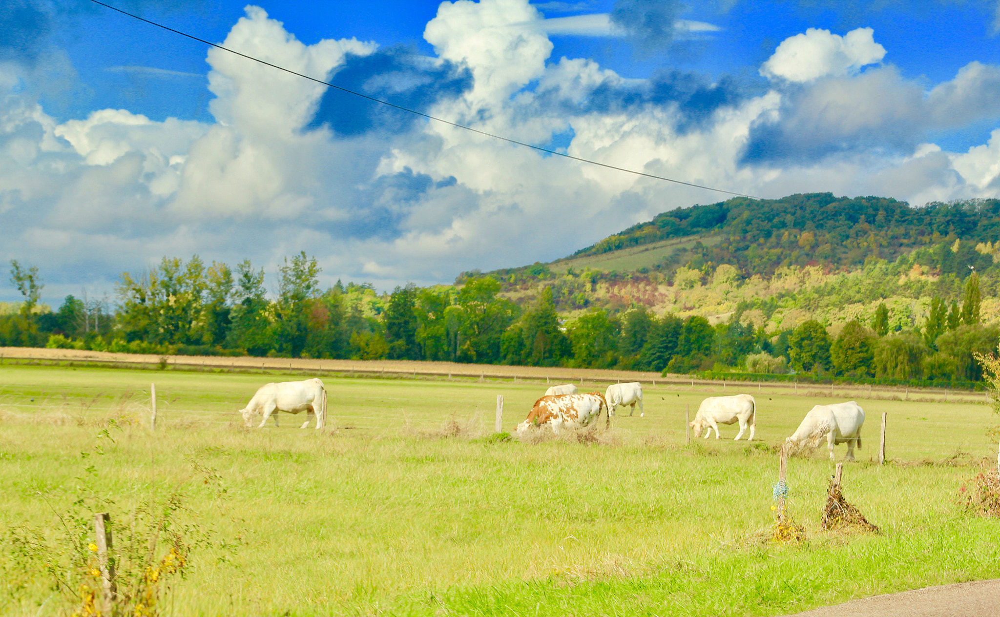 Canon EOS 550D (EOS Rebel T2i / EOS Kiss X4) sample photo. Giverny photography