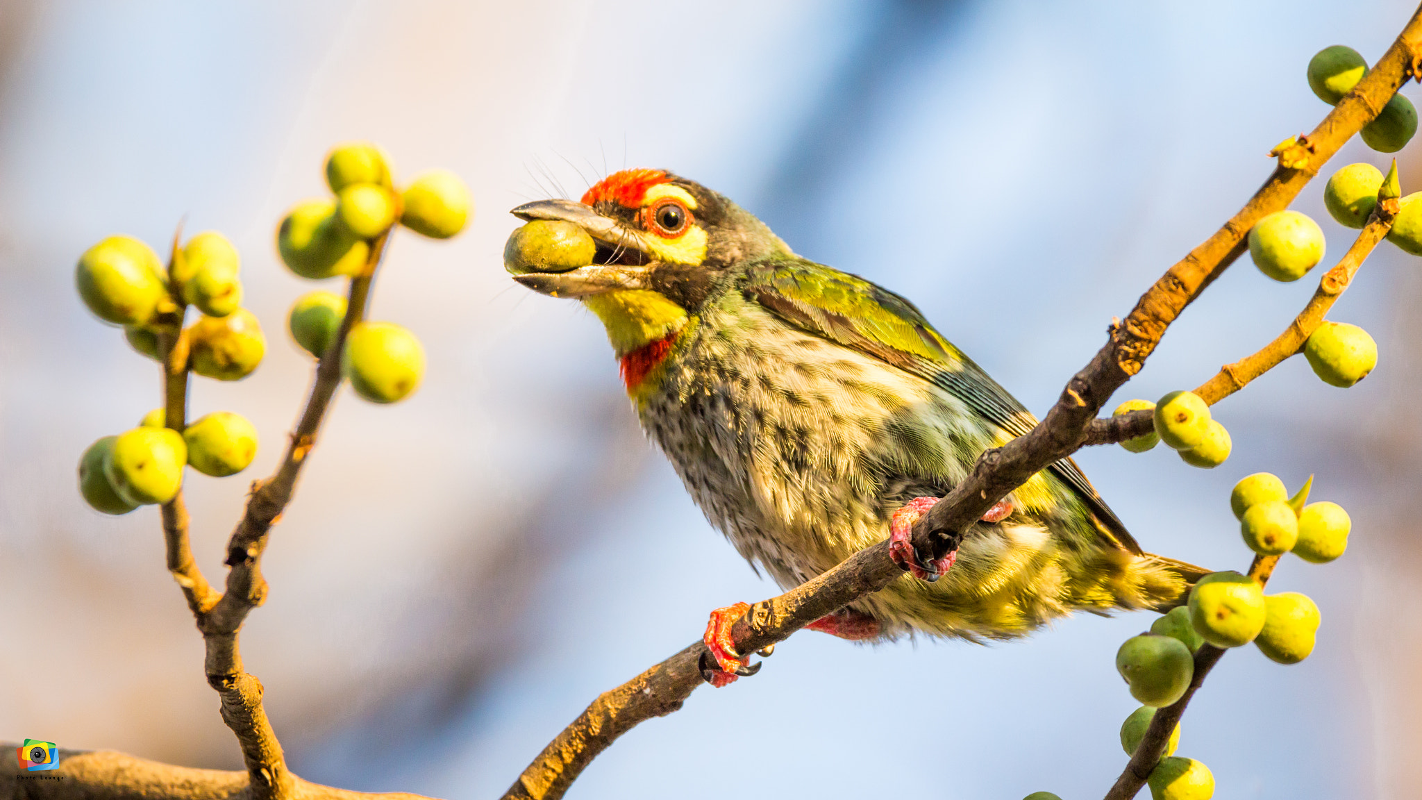 150-600mm F5-6.3 DG OS HSM | Contemporary 015 sample photo. Img photography