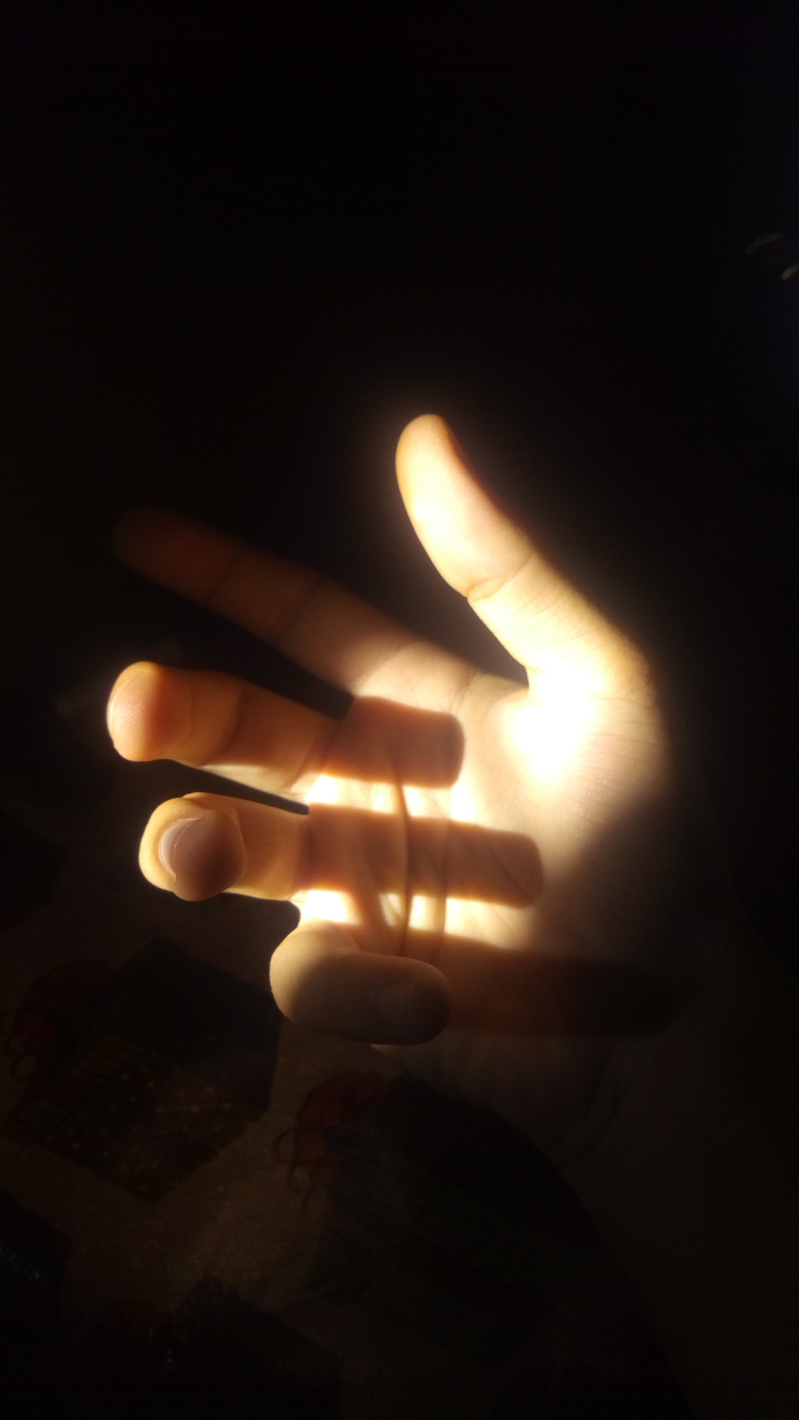 ZTE BLADE V6 sample photo. I wanna hold your hand! photography
