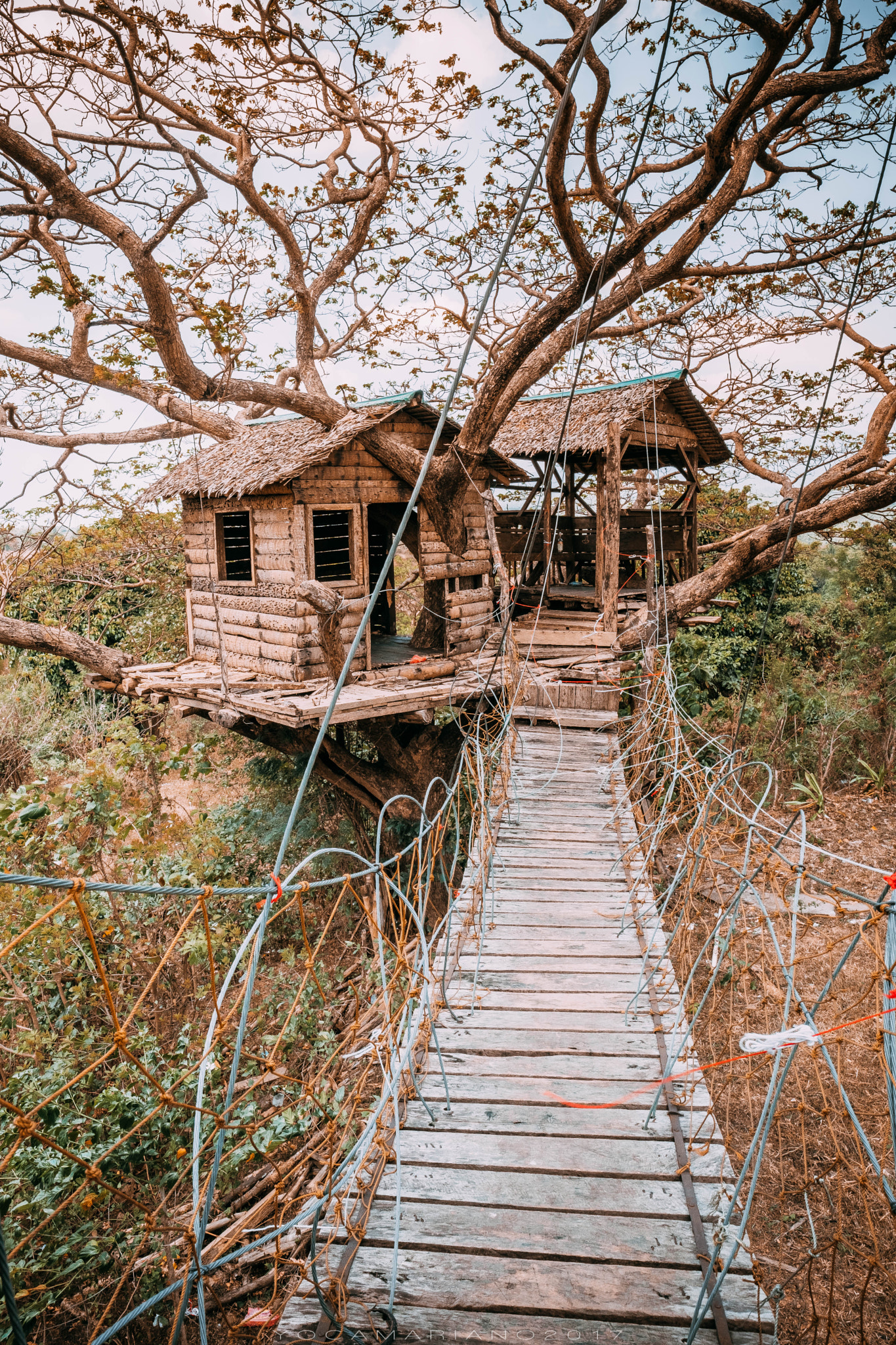 Fujifilm XF 16mm F1.4 R WR sample photo. Cabog-cabog tree house photography