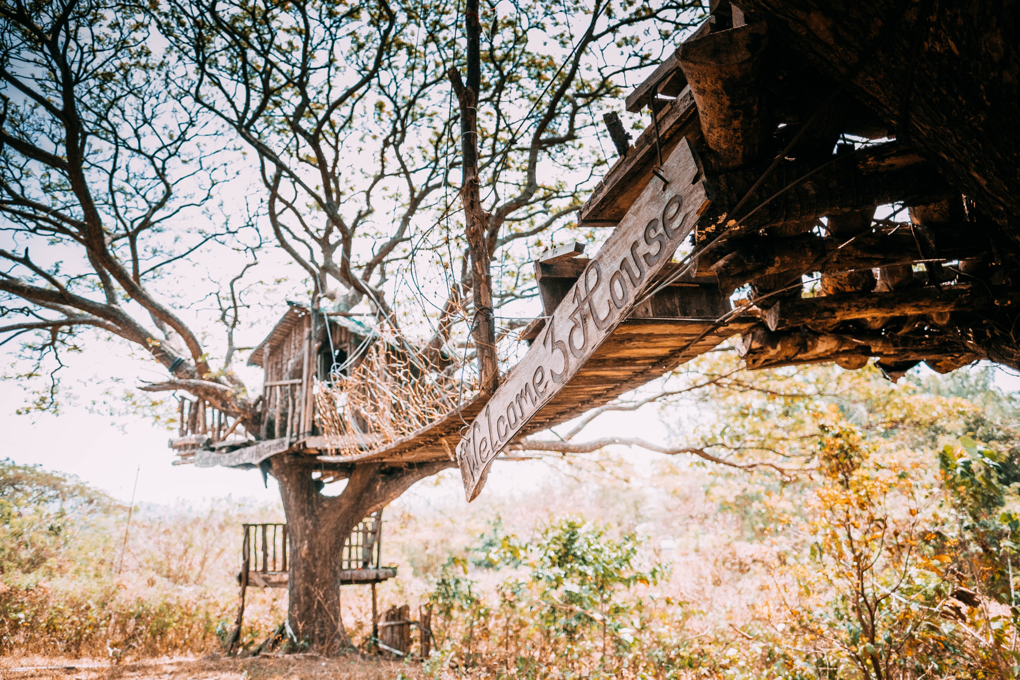 Fujifilm XF 16mm F1.4 R WR sample photo. Cabog-cabog tree house photography