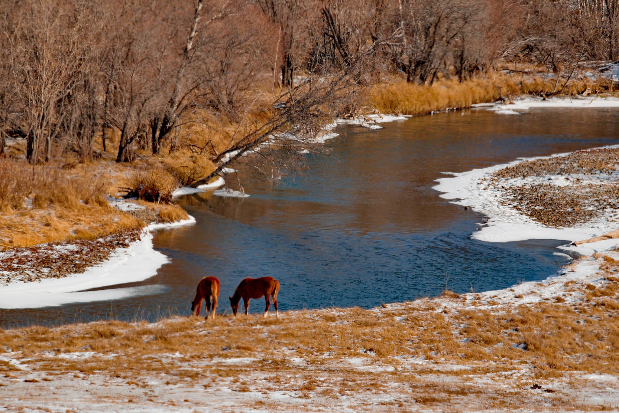 Fujifilm XF 100-400mm F4.5-5.6 R LM OIS WR sample photo. Горный Алтай. photography