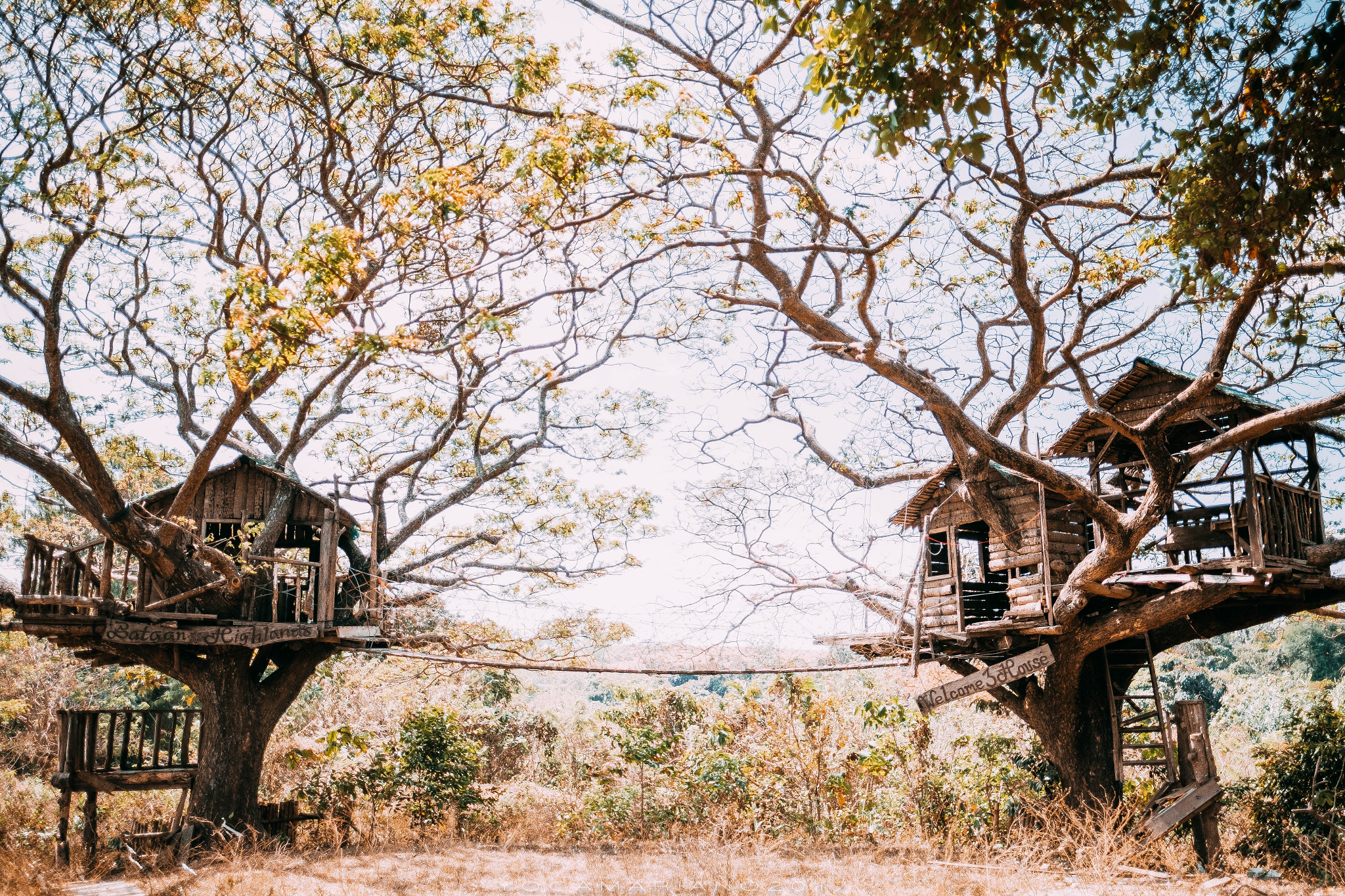 Fujifilm X-Pro2 + Fujifilm XF 16mm F1.4 R WR sample photo. Cabog-cabog tree house photography