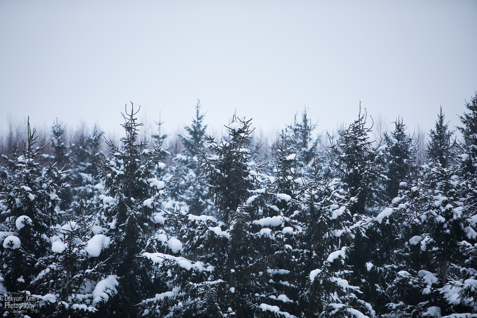 Canon EF 70-200mm F2.8L IS USM sample photo. Winter photography