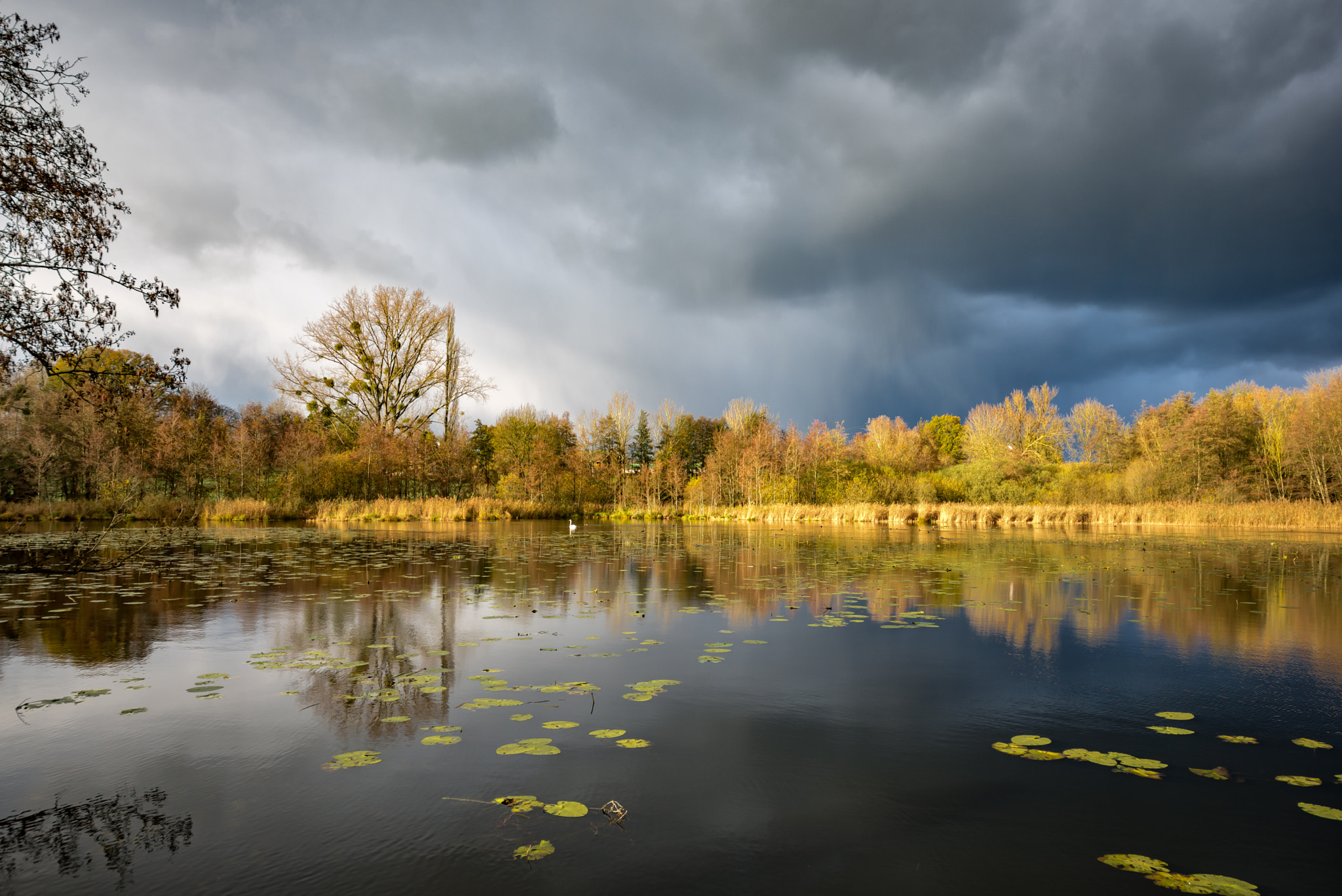 Nikon D600 + Sigma 12-24mm F4.5-5.6 II DG HSM sample photo. The lake photography