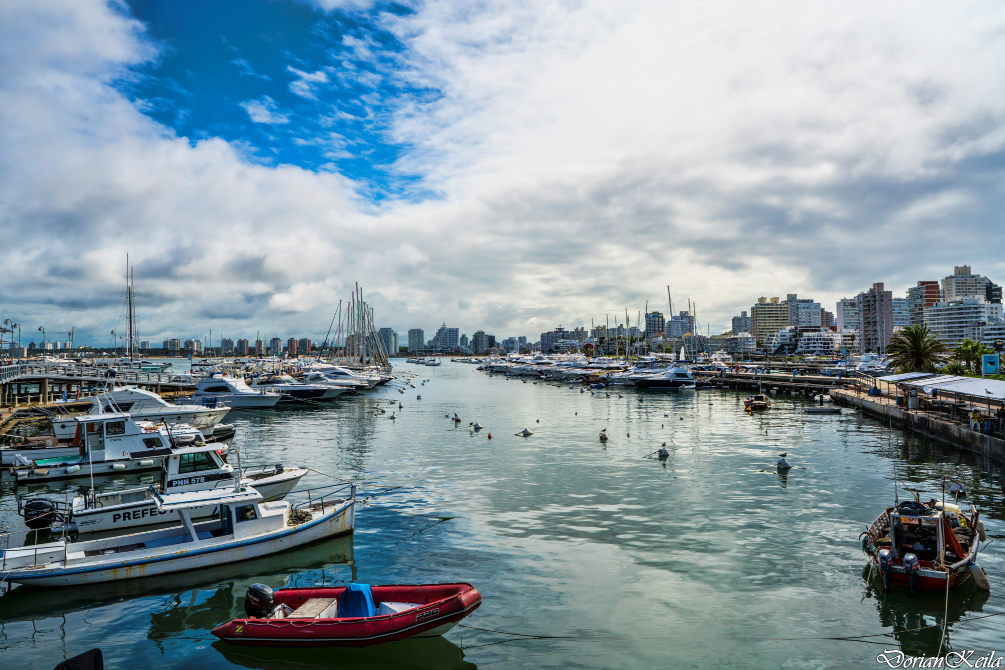 ZEISS Batis 25mm F2 sample photo. X photography