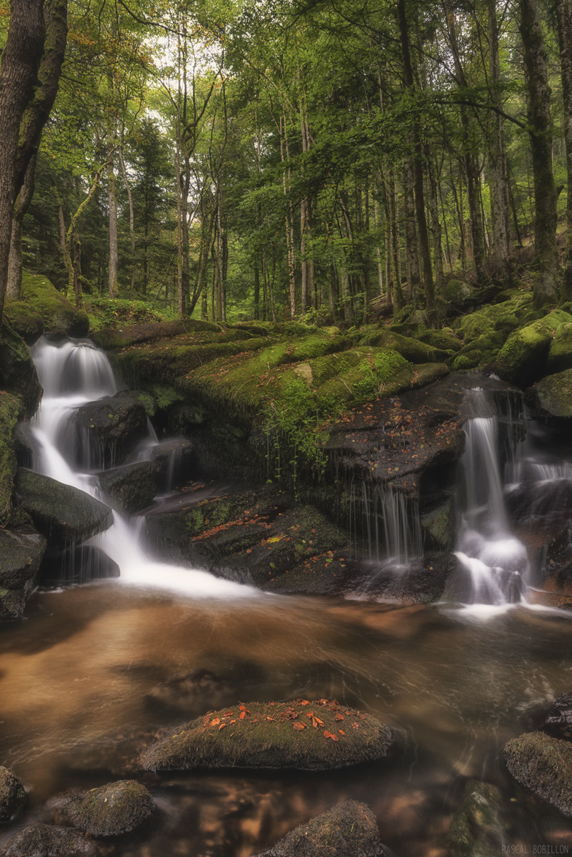 Tamron SP 24-70mm F2.8 Di VC USD sample photo. Cascade de la vallée des darots photography