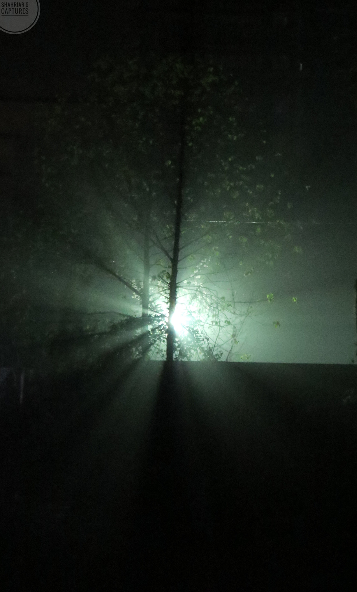 Canon PowerShot ELPH 330 HS (IXUS 255 HS / IXY 610F) sample photo. Mysterious ray photography