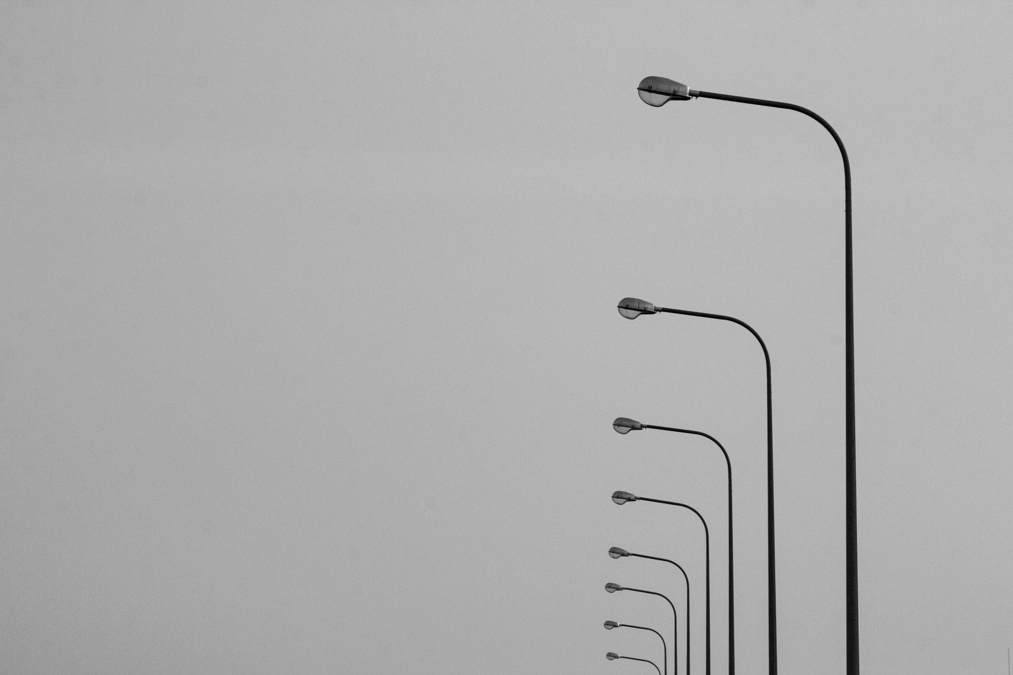 Canon EOS 60D + EF75-300mm f/4-5.6 sample photo. #4 #minimal photography