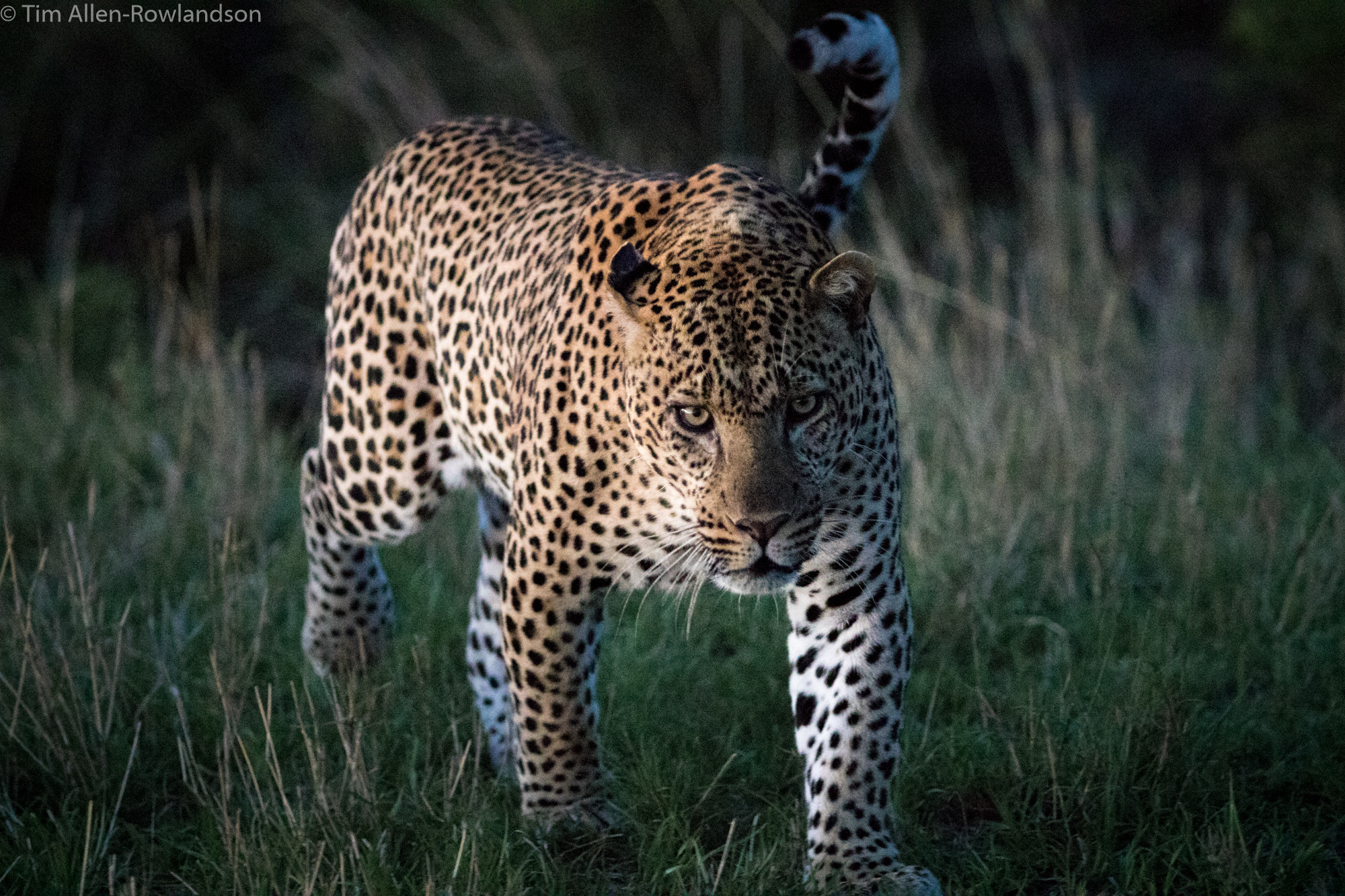 Canon EF 70-200mm F2.8L USM sample photo. Last light photography