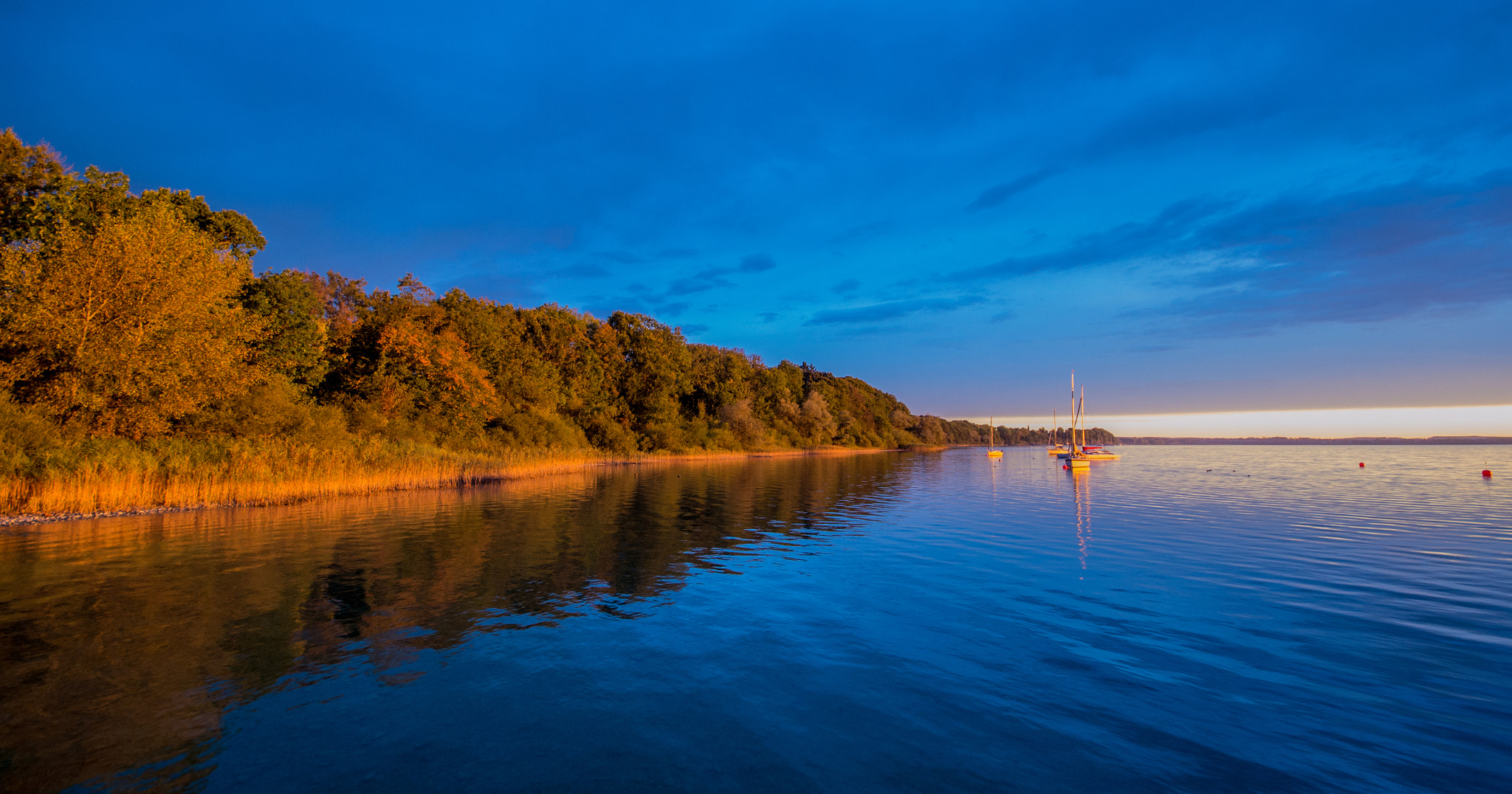 Nikon D3100 + Sigma 10-20mm F4-5.6 EX DC HSM sample photo. A morning in yellow and blue... photography