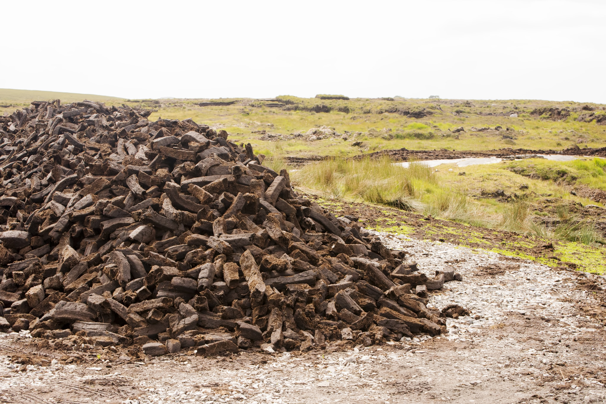 Nikon D600 sample photo. Pile of ...? (1) photography