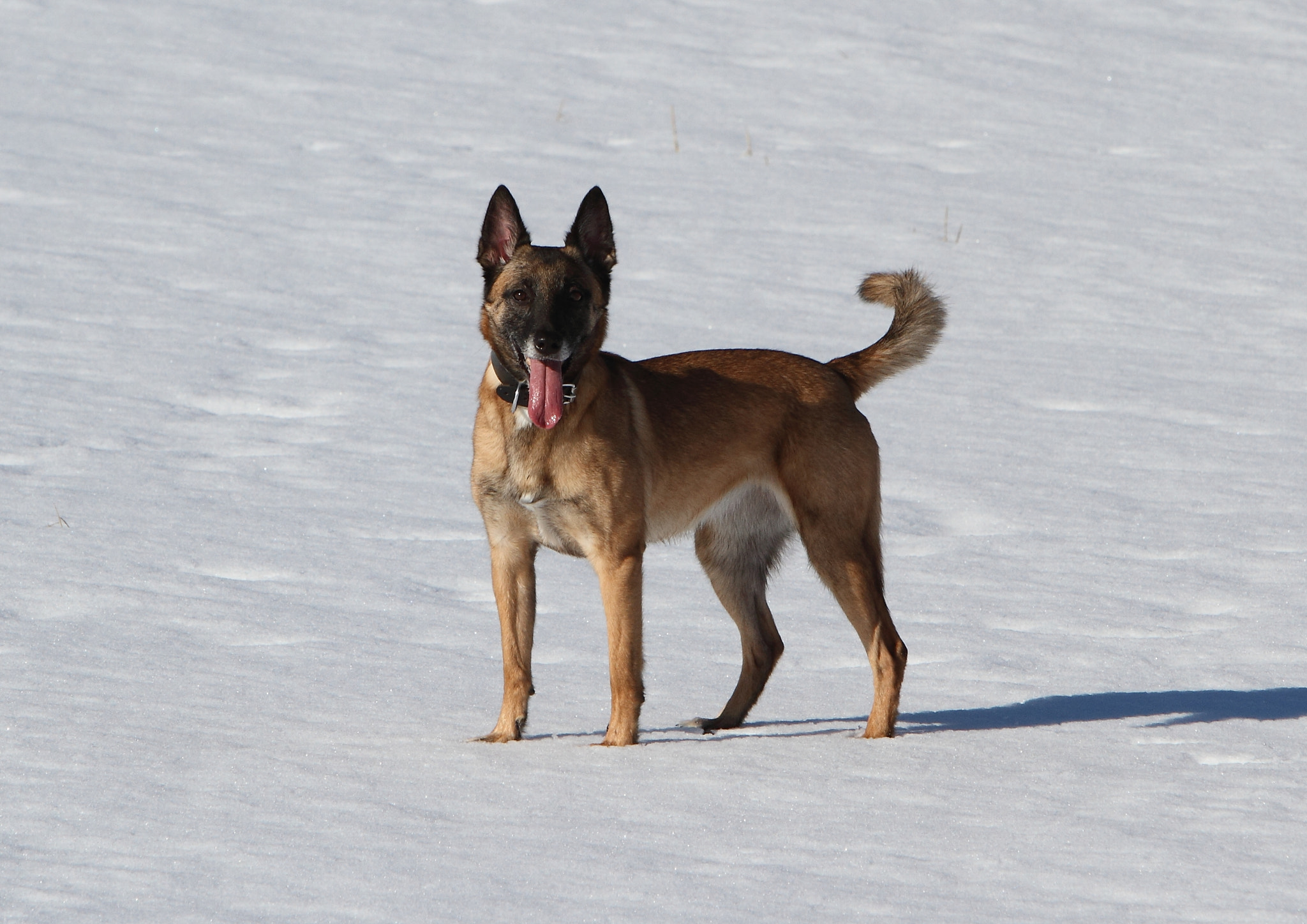 Canon EF 70-200mm F2.8L IS USM sample photo. Img photography
