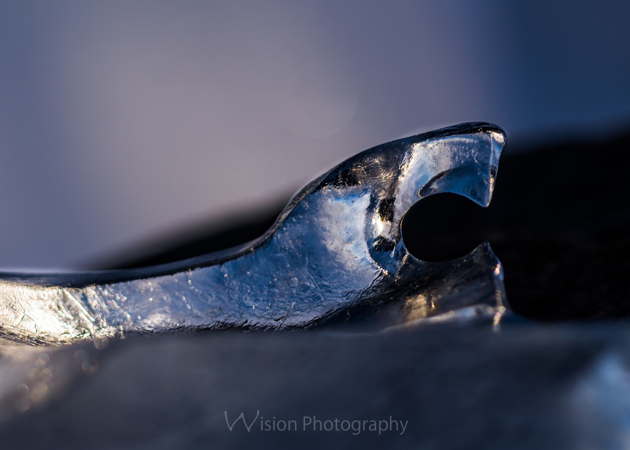 Sigma 150mm F2.8 EX DG Macro HSM sample photo. Part of you photography