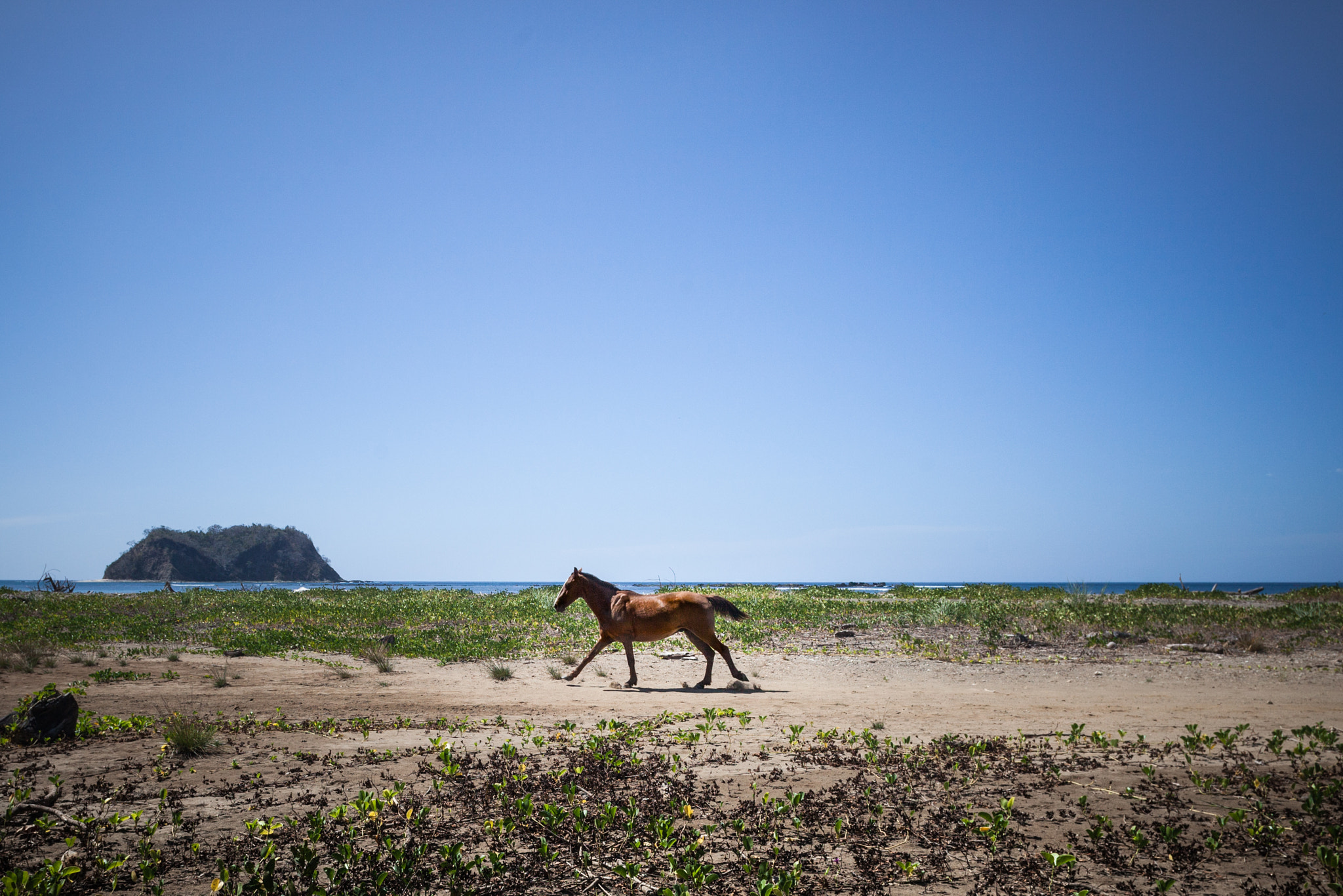 Canon EF 20mm F2.8 USM sample photo. Playa samara photography