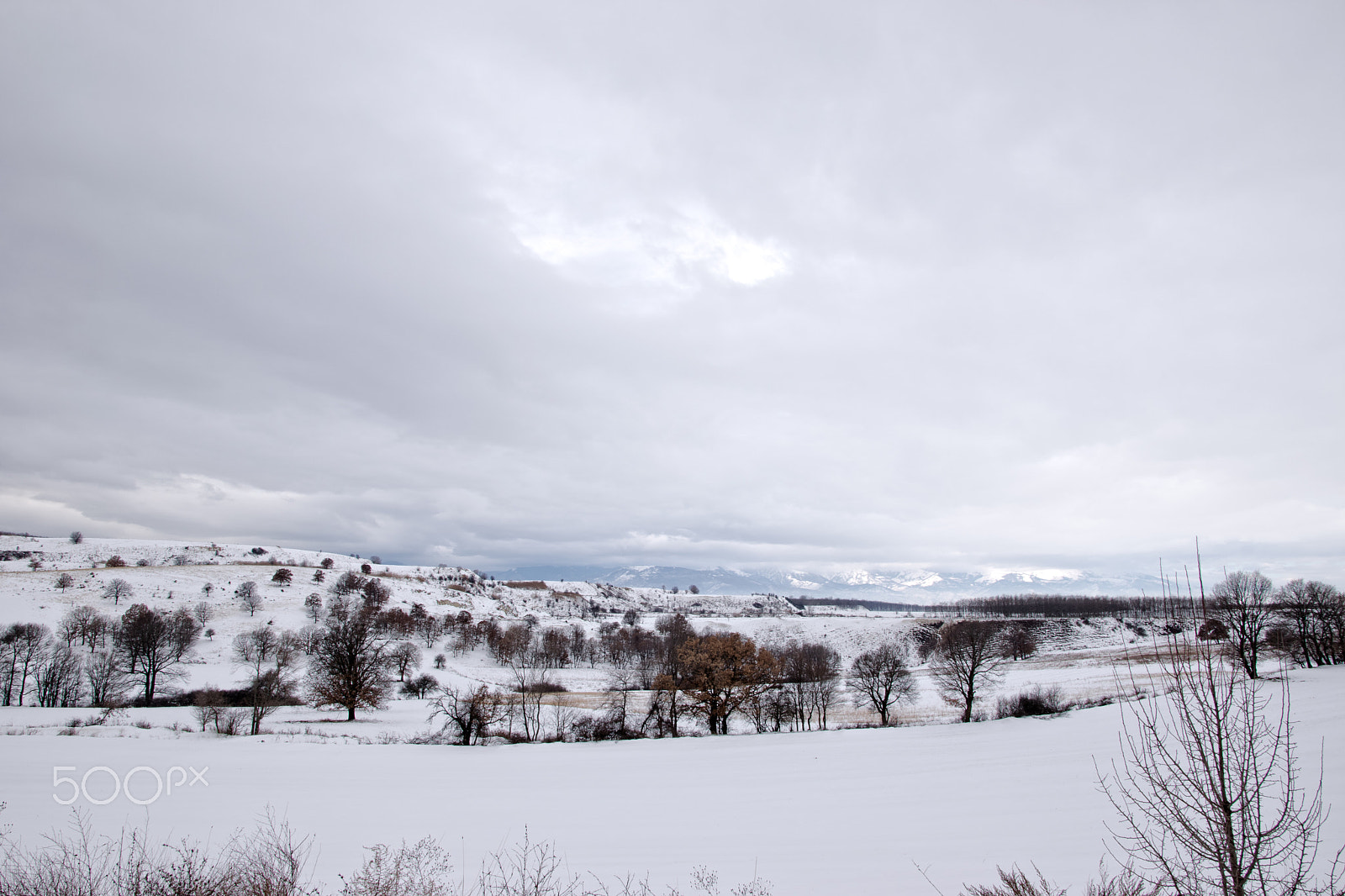 Sigma 17-50mm F2.8 EX DC OS HSM sample photo. Land and trees photography