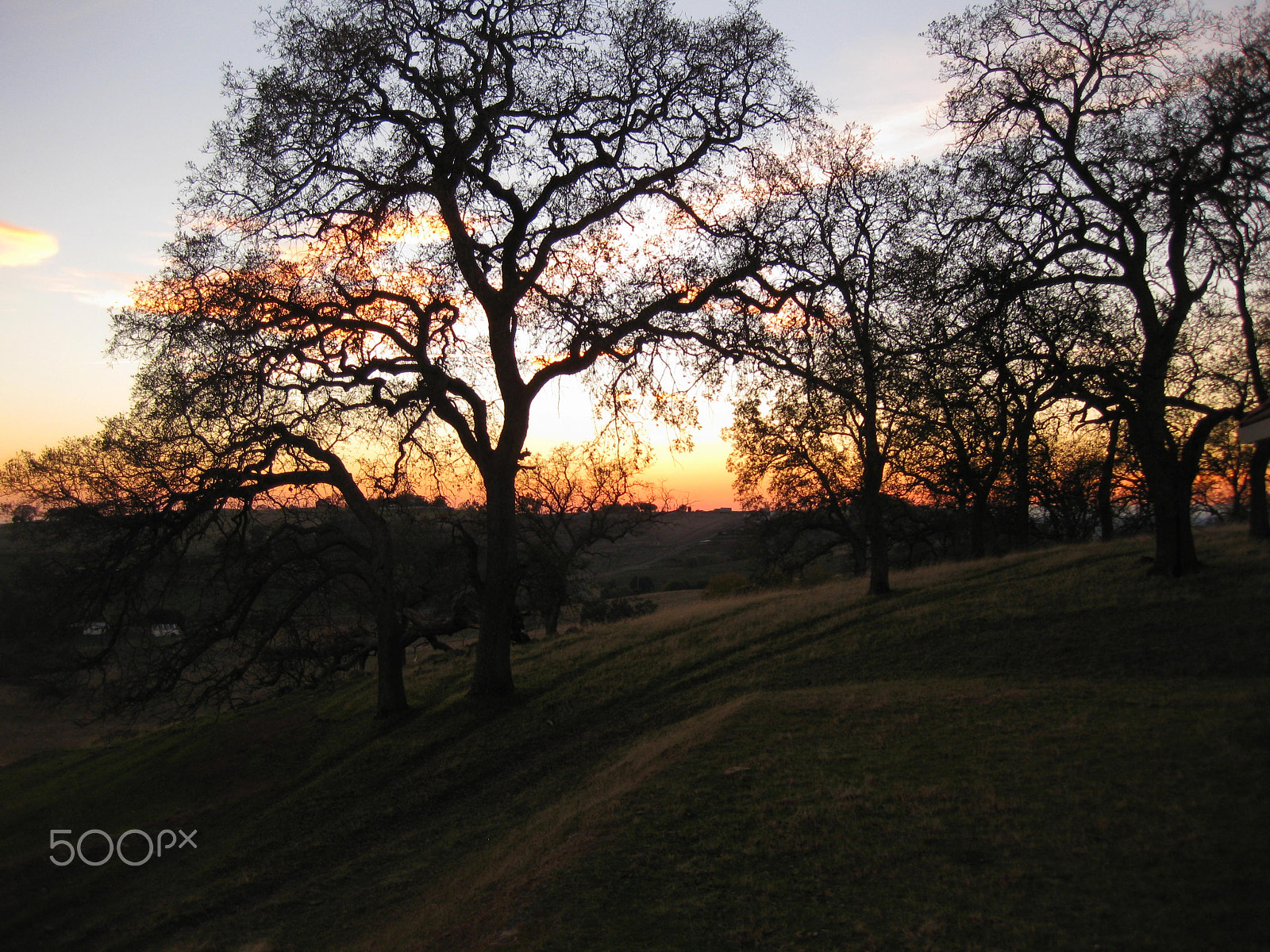 Canon PowerShot SD790 IS (Digital IXUS 90 IS / IXY Digital 95 IS) sample photo. Sunset at the farm 4 photography