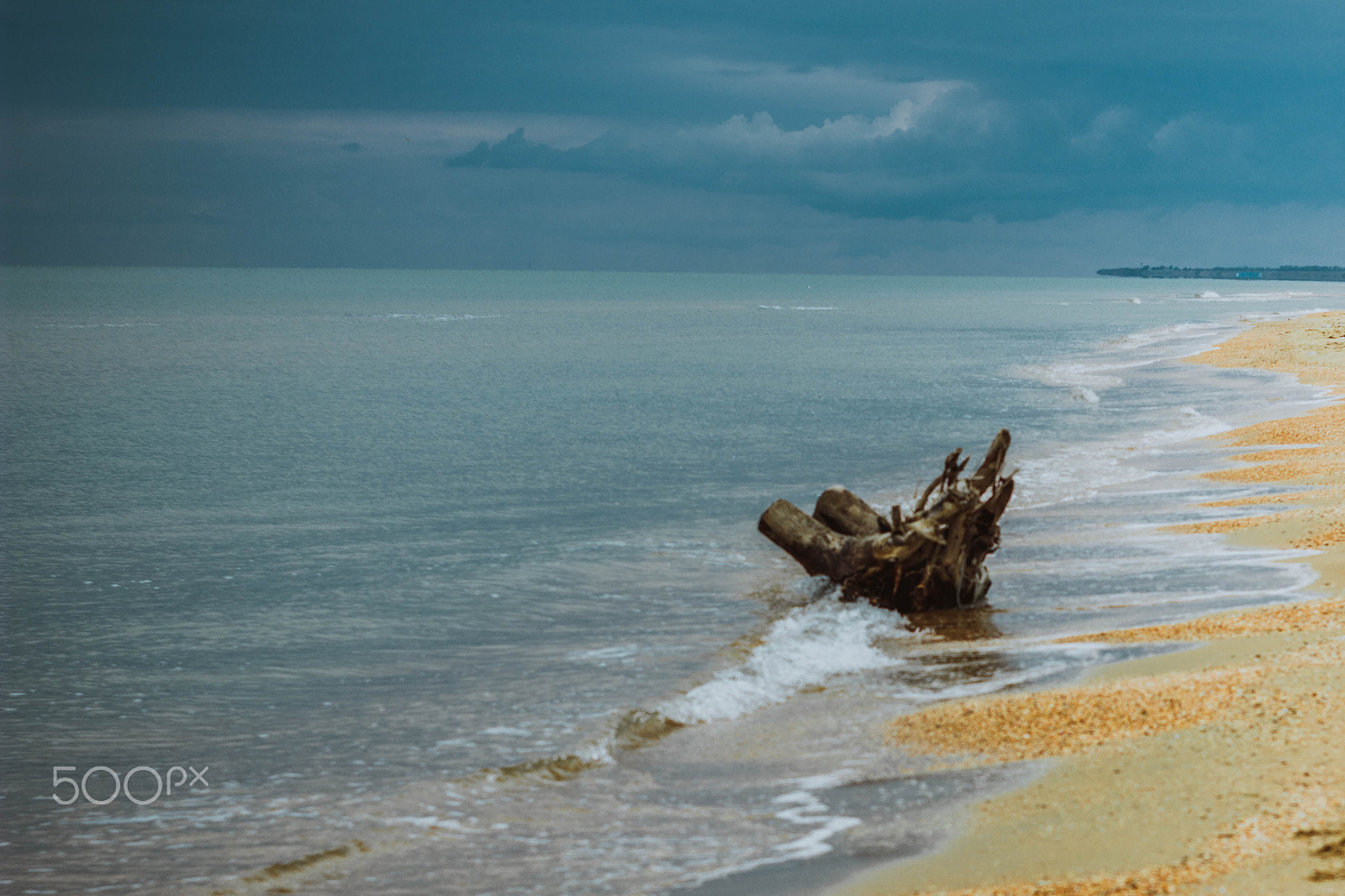 Canon EF 28-80mm f/3.5-5.6 sample photo. A tree thrown by the storm on shore photography