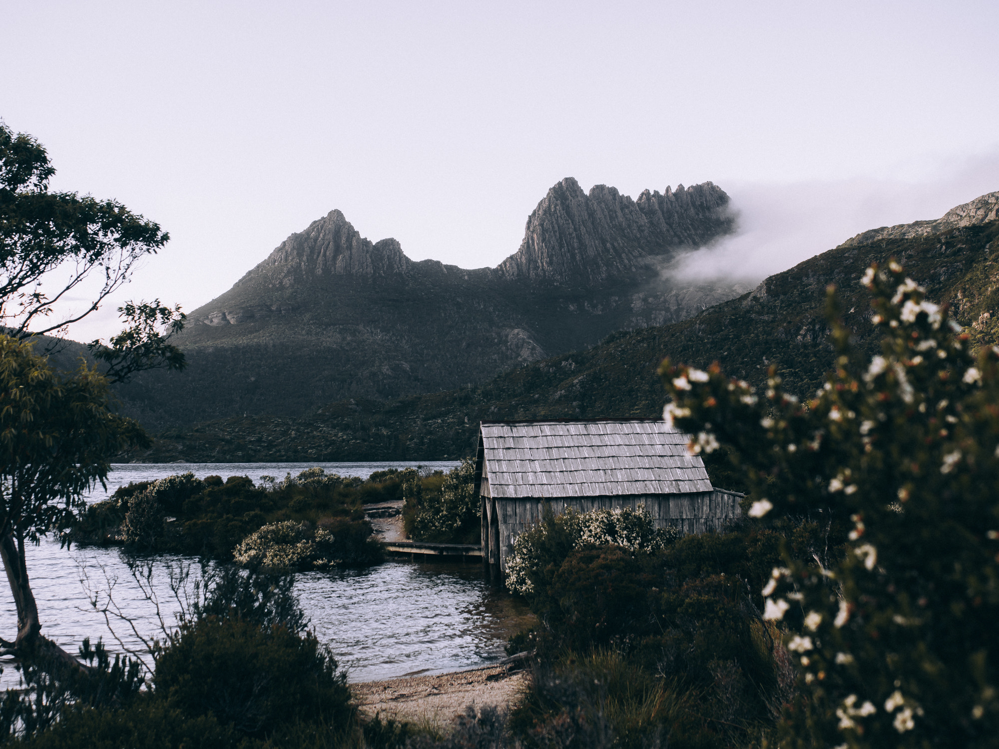 Olympus OM-D E-M5 sample photo. Cradle mountain photography