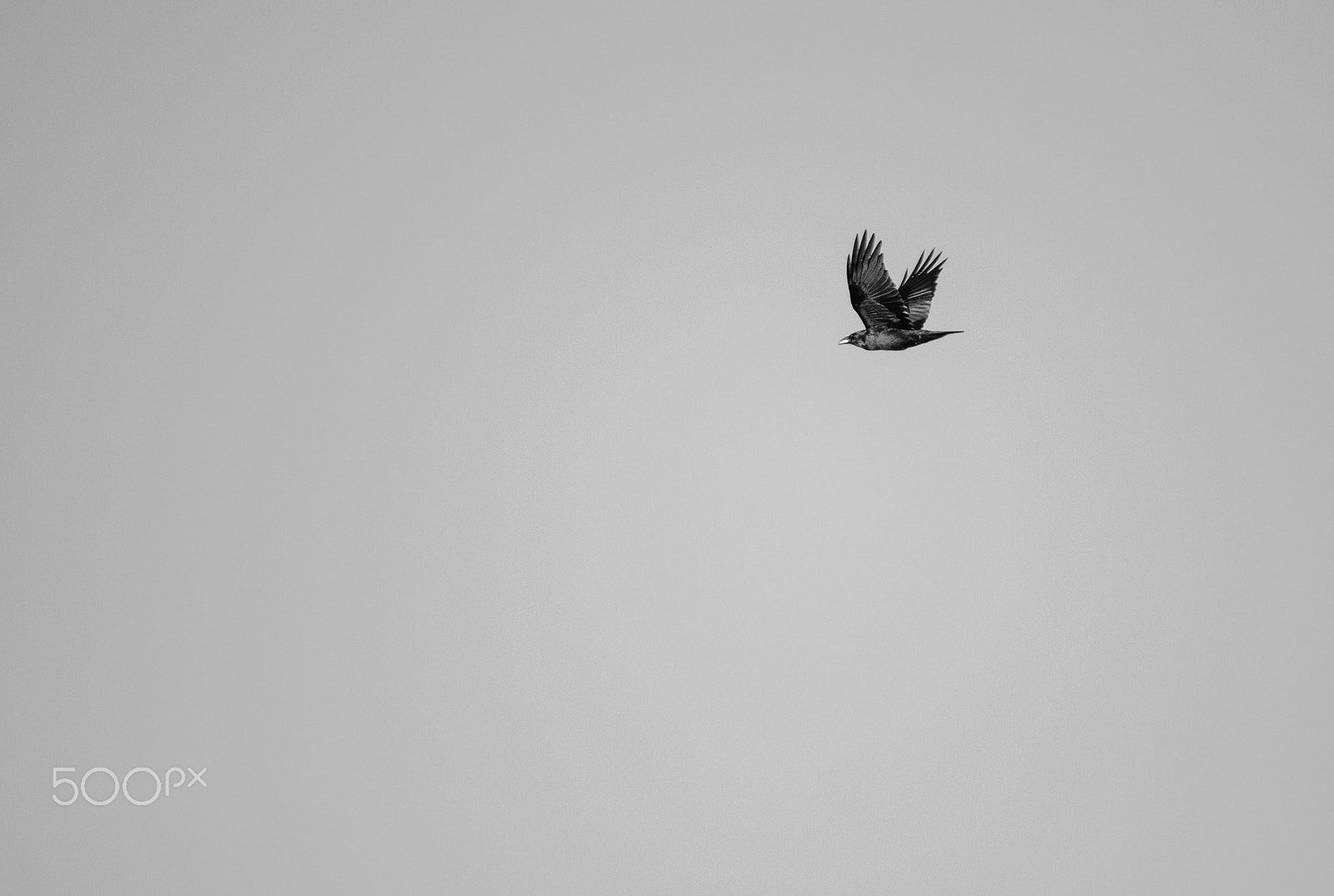 Sigma 70-200mm F2.8 EX DG OS HSM sample photo. Large sky photography