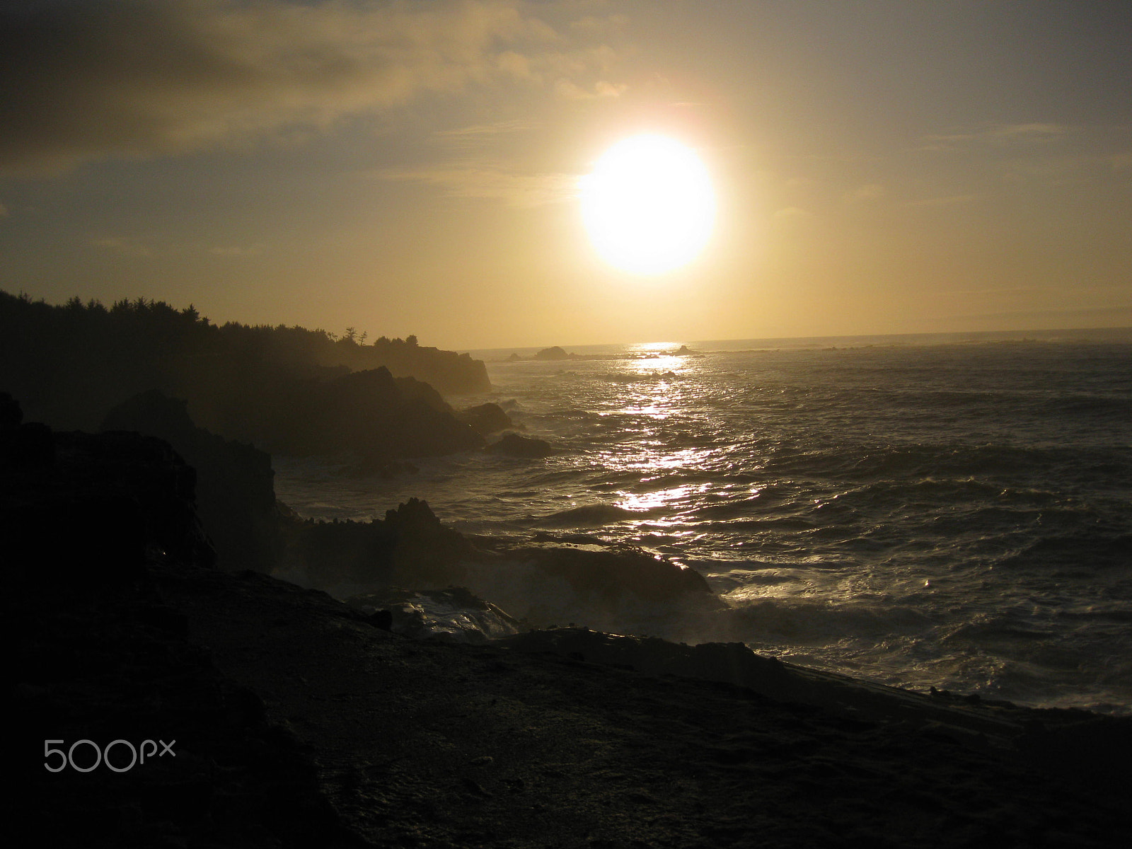 Canon PowerShot SD790 IS (Digital IXUS 90 IS / IXY Digital 95 IS) sample photo. Oregon coast 3 photography