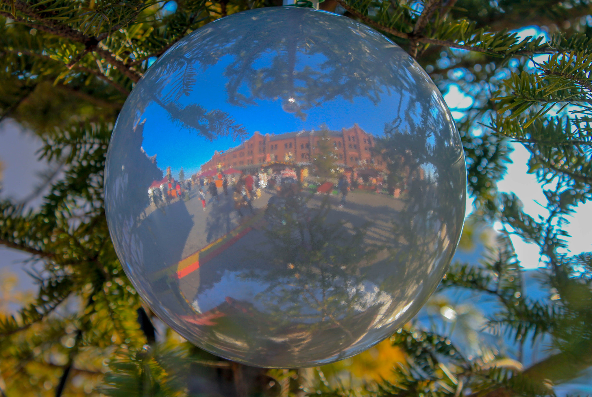 Canon EOS 550D (EOS Rebel T2i / EOS Kiss X4) sample photo. In a sphere photography