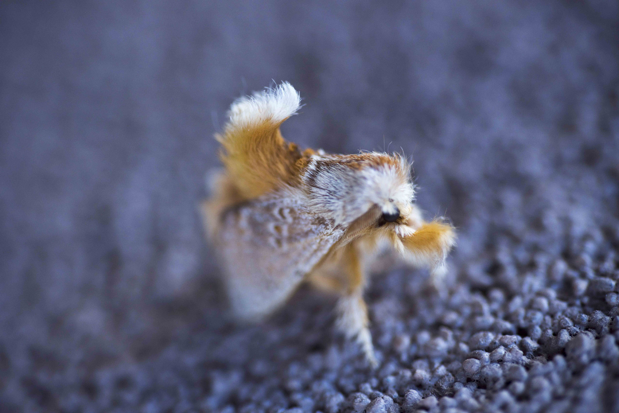 Nikon D810 sample photo. Unseen beauty of western australia photography