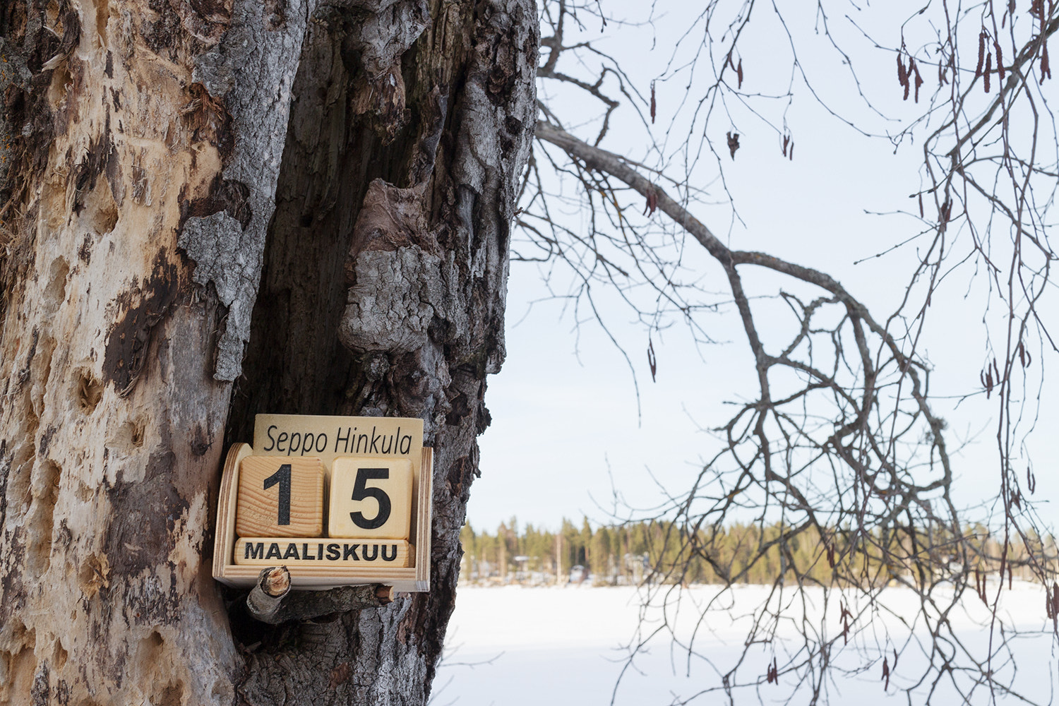 Canon EF-M 22mm F2 STM sample photo. March 15 photography