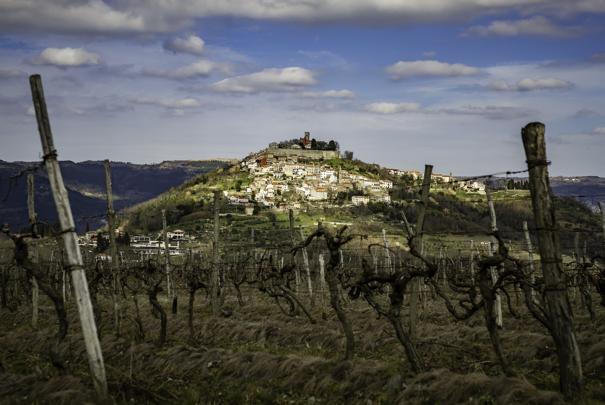 Canon EOS 7D + Sigma 35mm F1.4 DG HSM Art sample photo. Motovun, croatia photography